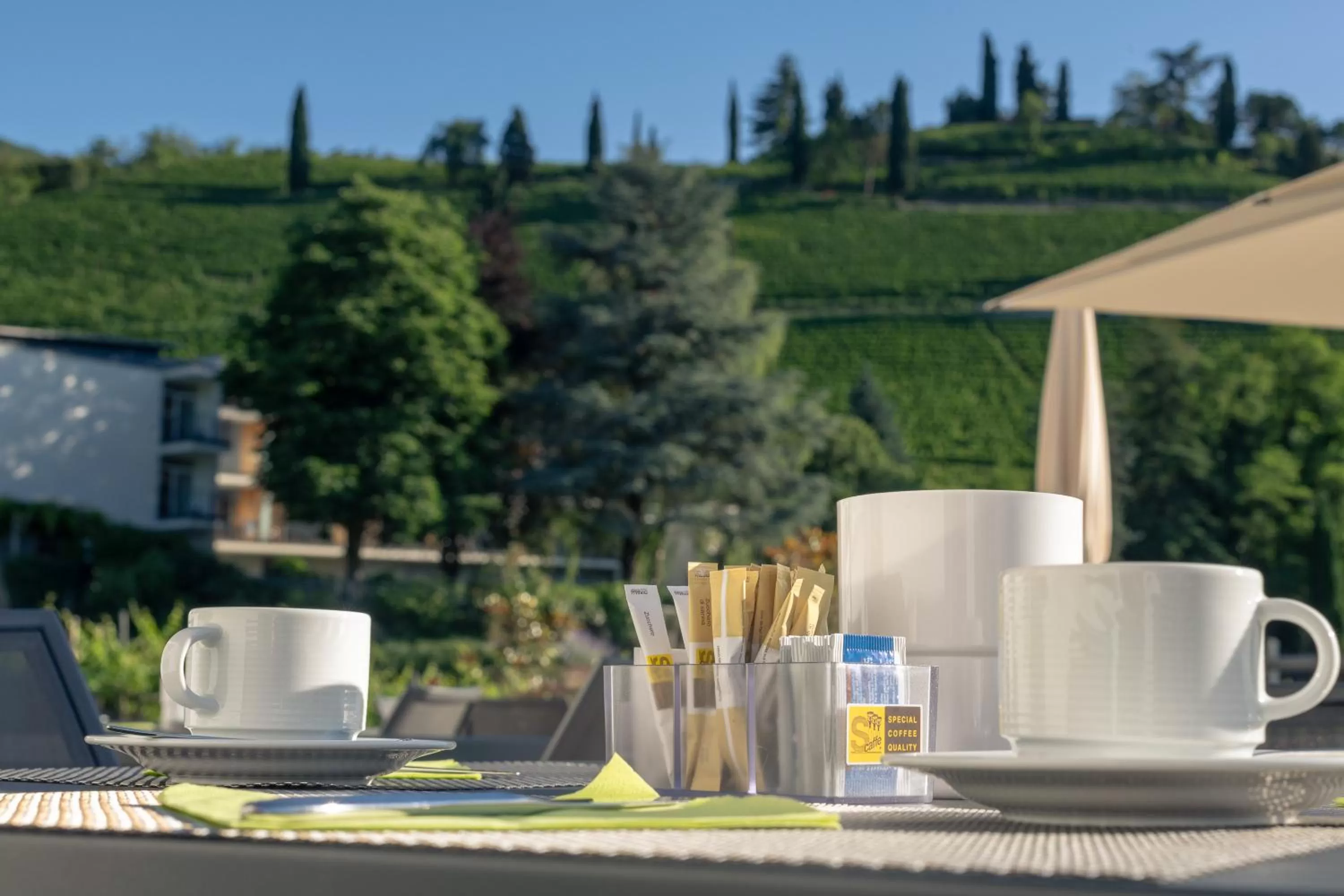 Balcony/Terrace in Residence Garni Hotel Vineus