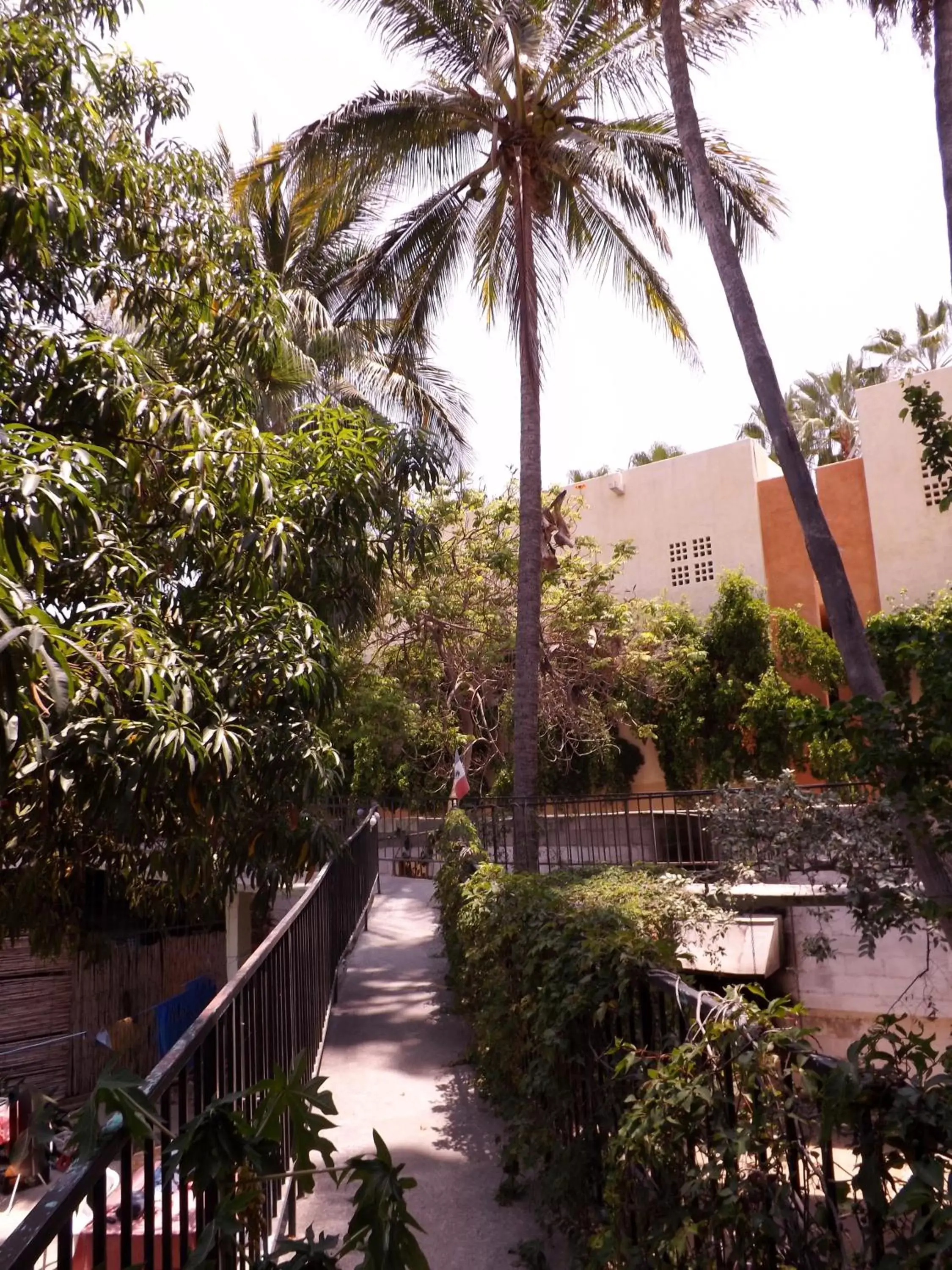 Natural landscape in Hotel Posada Señor Mañana