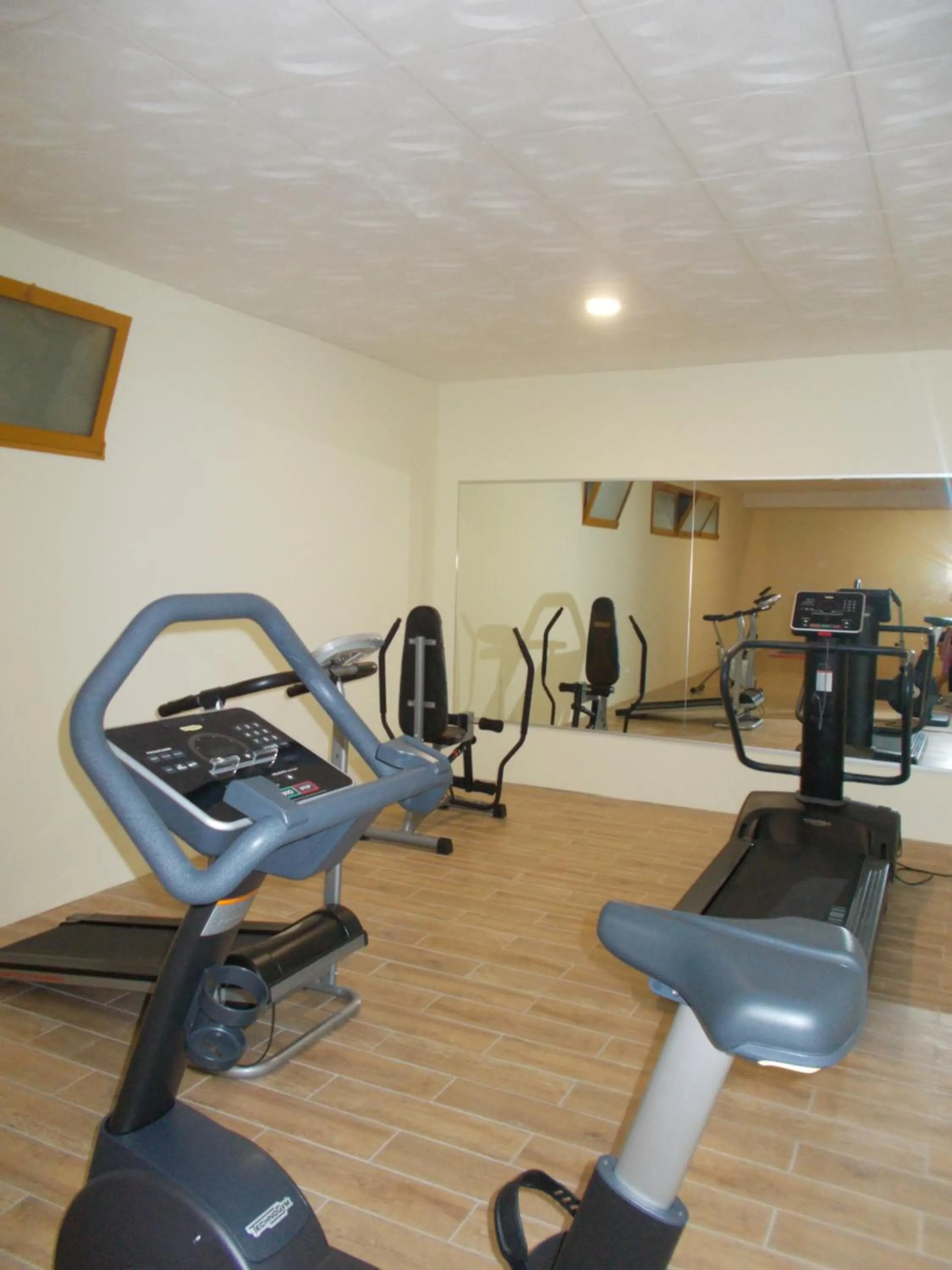 Fitness centre/facilities in Hotel Laura Christina