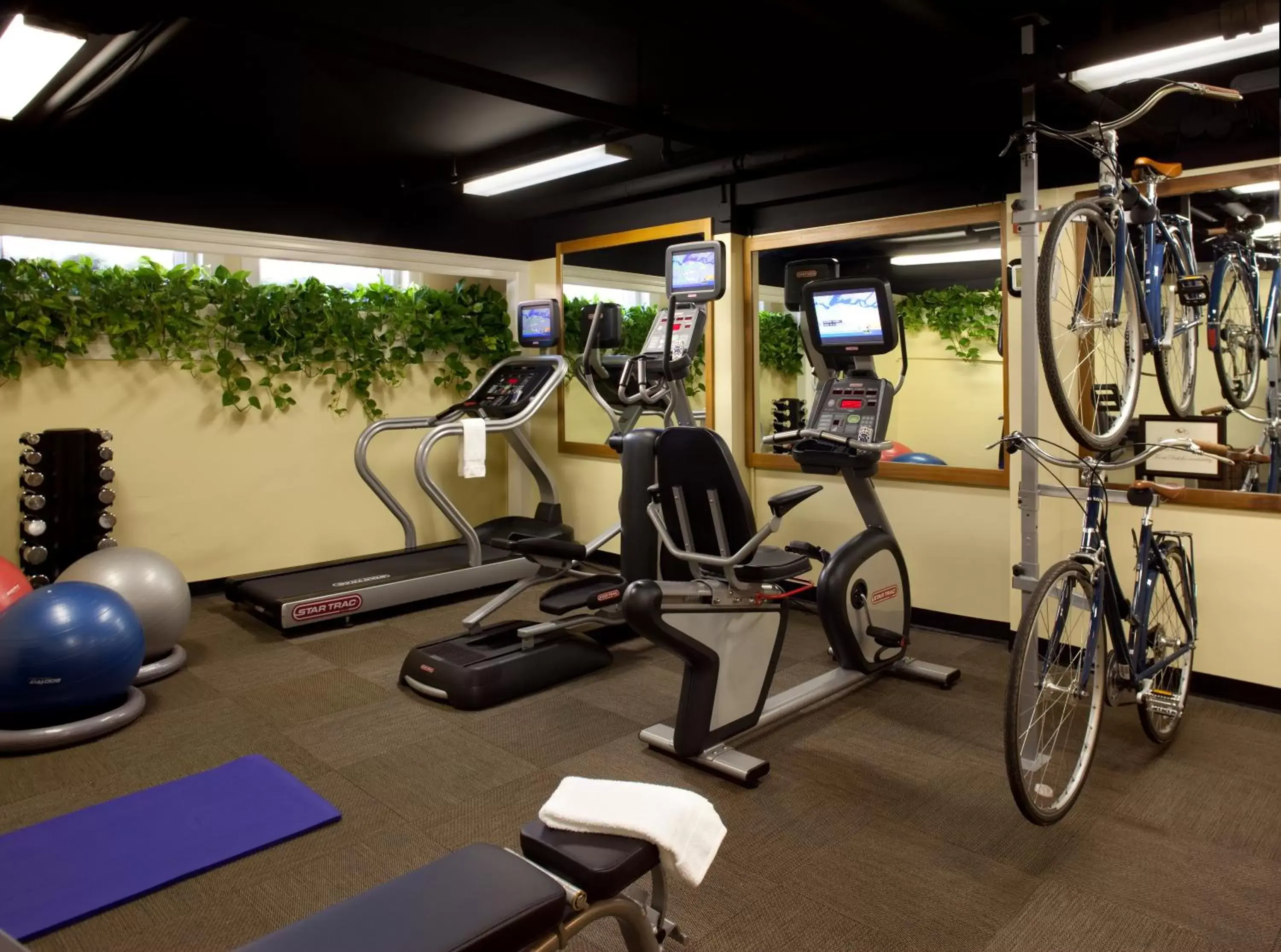 Fitness centre/facilities, Fitness Center/Facilities in Hotel Drisco