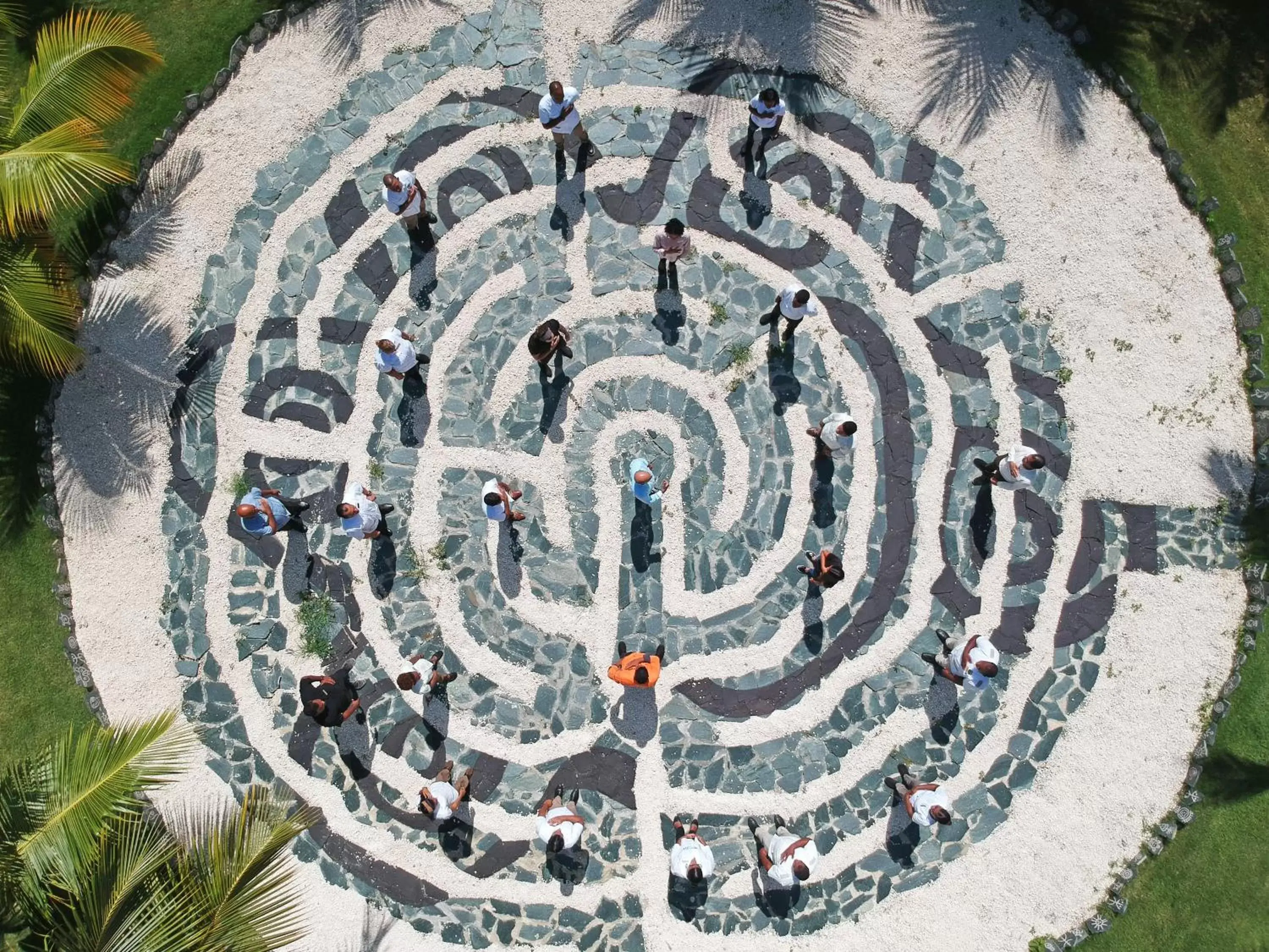 Activities, Bird's-eye View in Meliá Punta Cana Beach Wellness Inclusive - Adults only