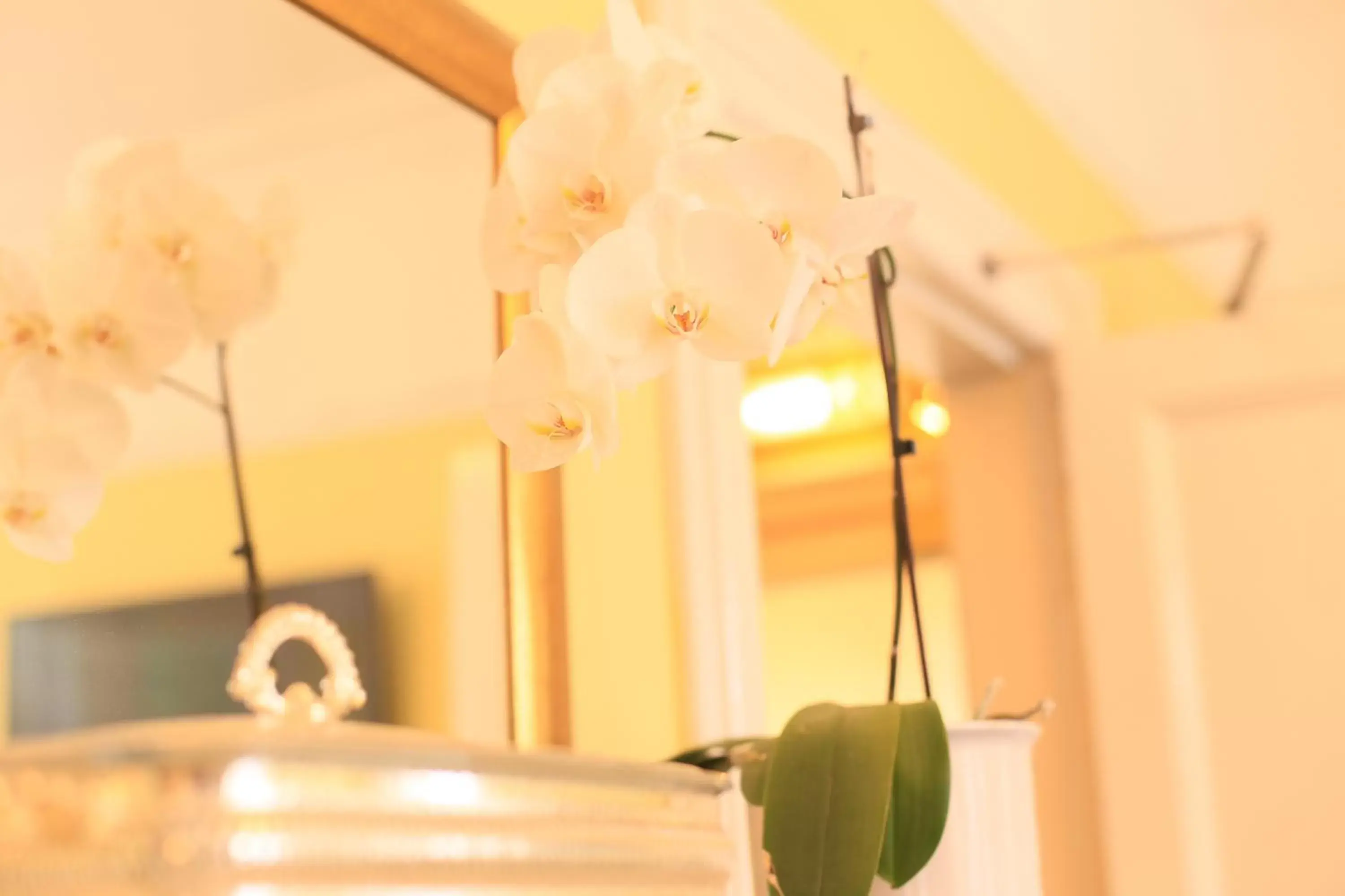 Decorative detail, Bathroom in Twin Lions Hotel