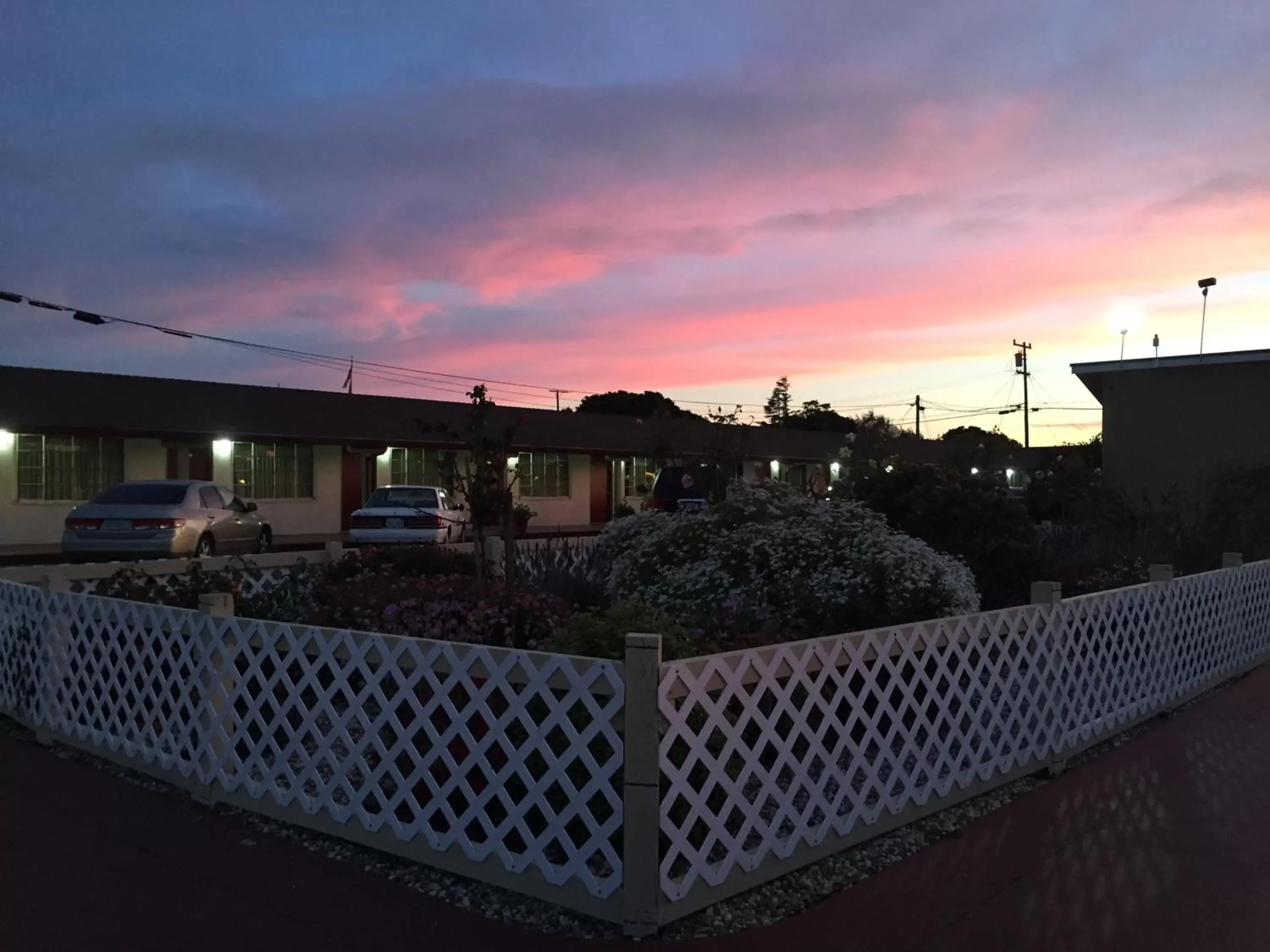 Garden in Wagon Wheel Motel