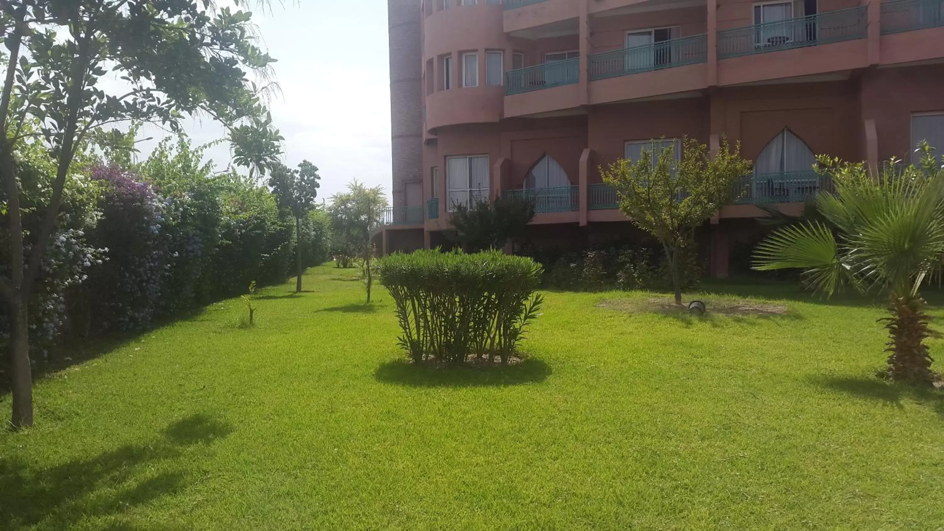 Garden, Property Building in Mogador Kasbah