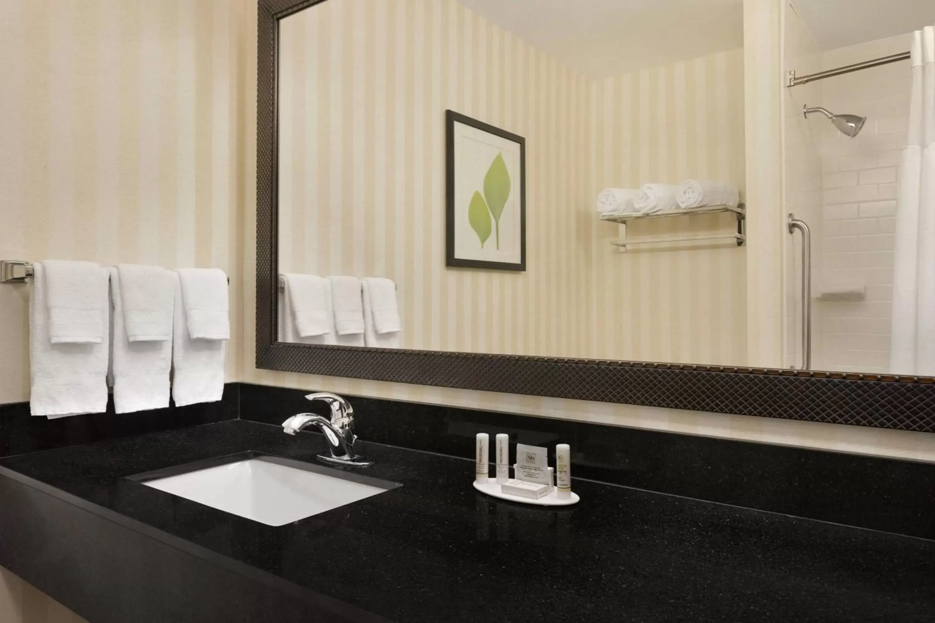 Bathroom in Fairfield Inn & Suites by Marriott Tupelo