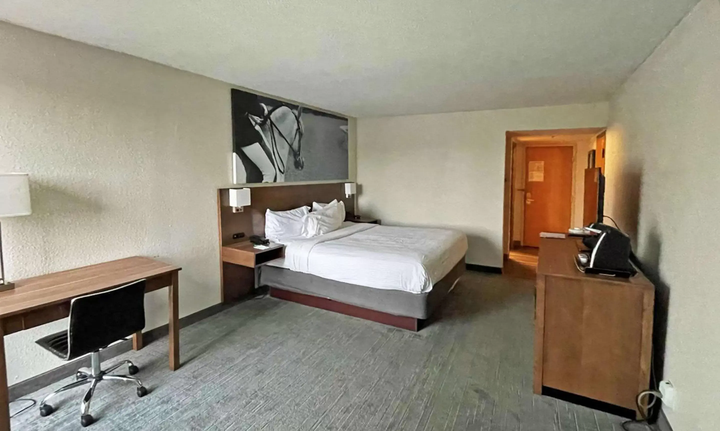 Photo of the whole room, Bed in Clarion Pointe Hopkinsville near The Bruce Convention Center