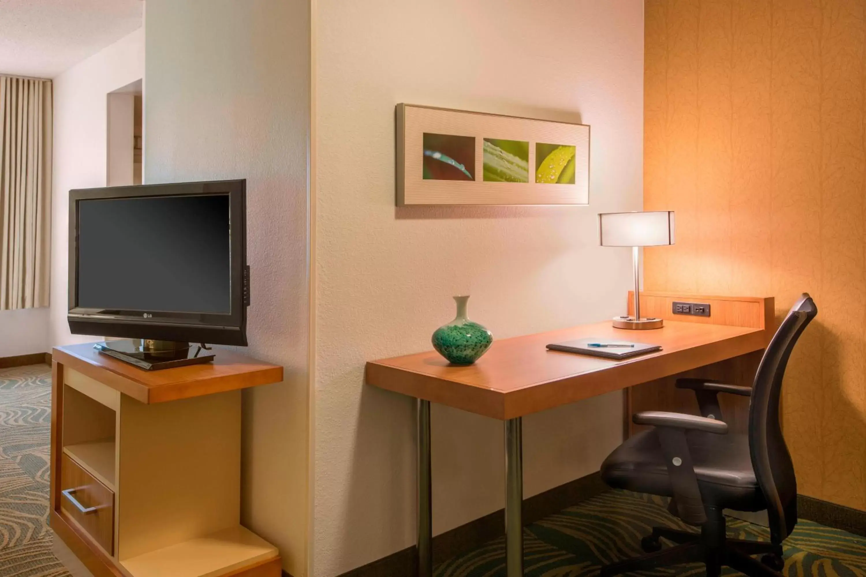 Bedroom, TV/Entertainment Center in SpringHill Suites by Marriott Charlotte Airport