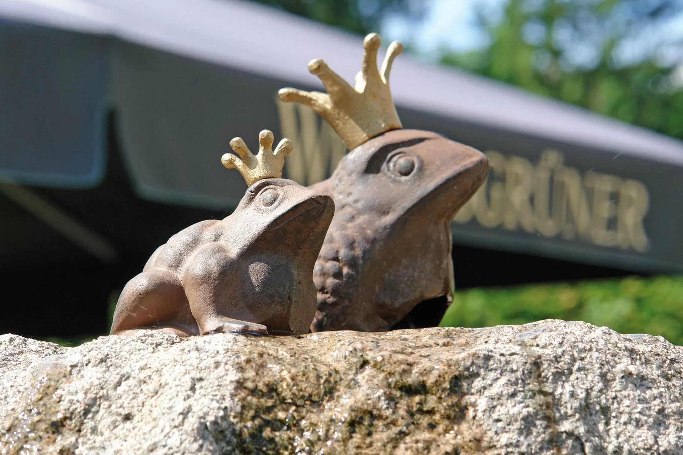 Garden in Hotel und Restaurant Bühlhaus