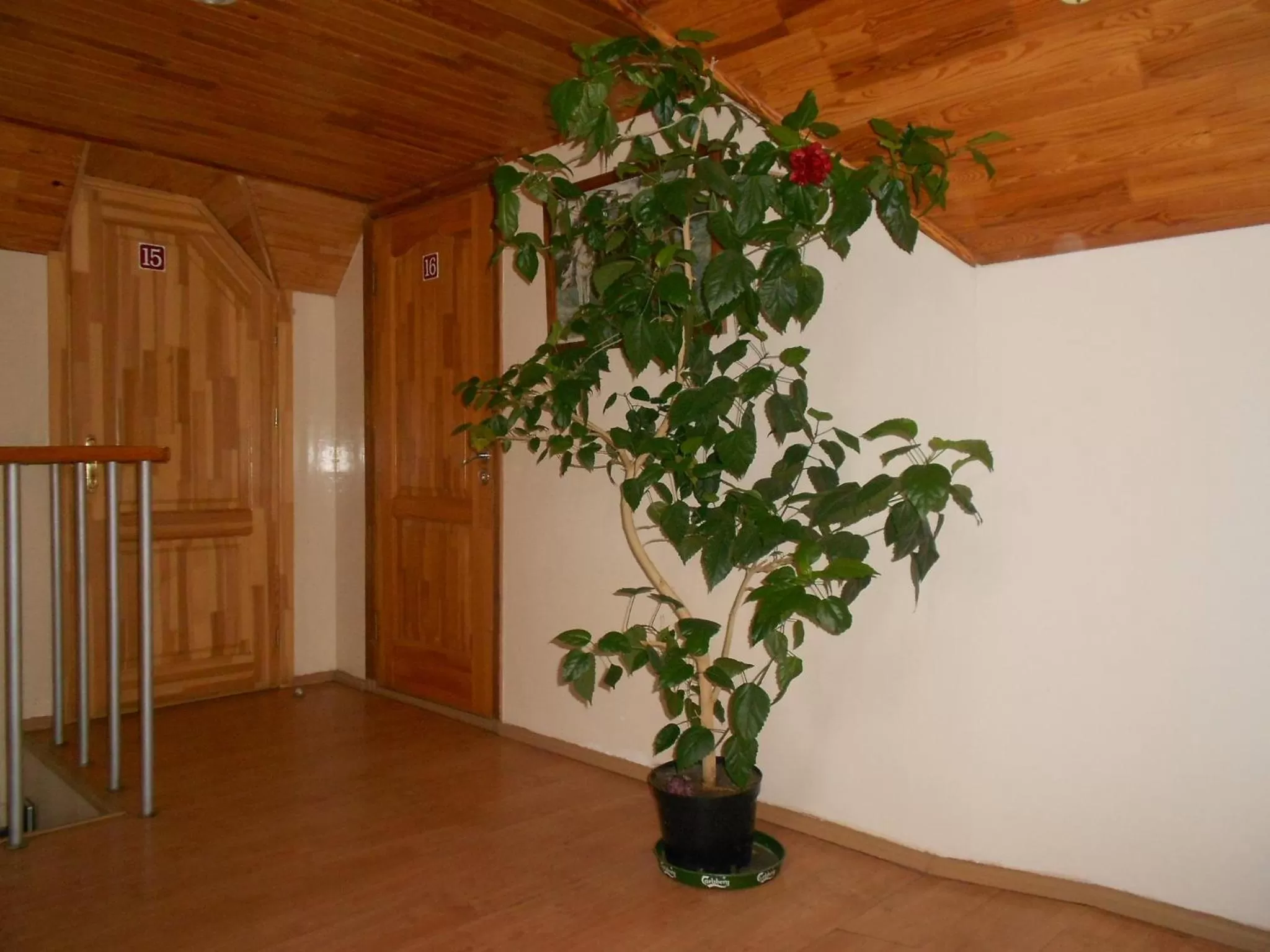 Lobby or reception in Rugelis