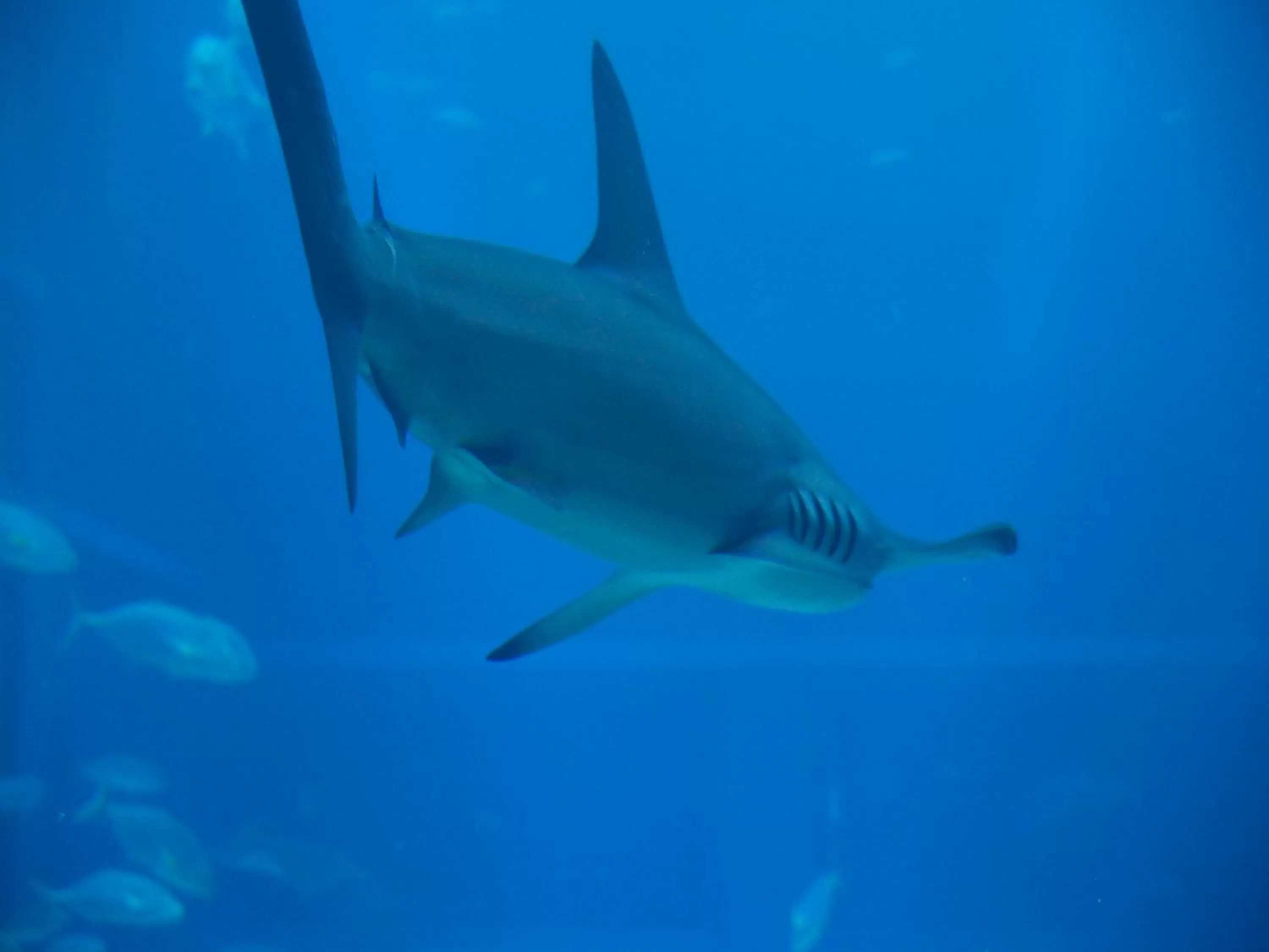 Nearby landmark in Hotel Wing International Select Osaka Umeda