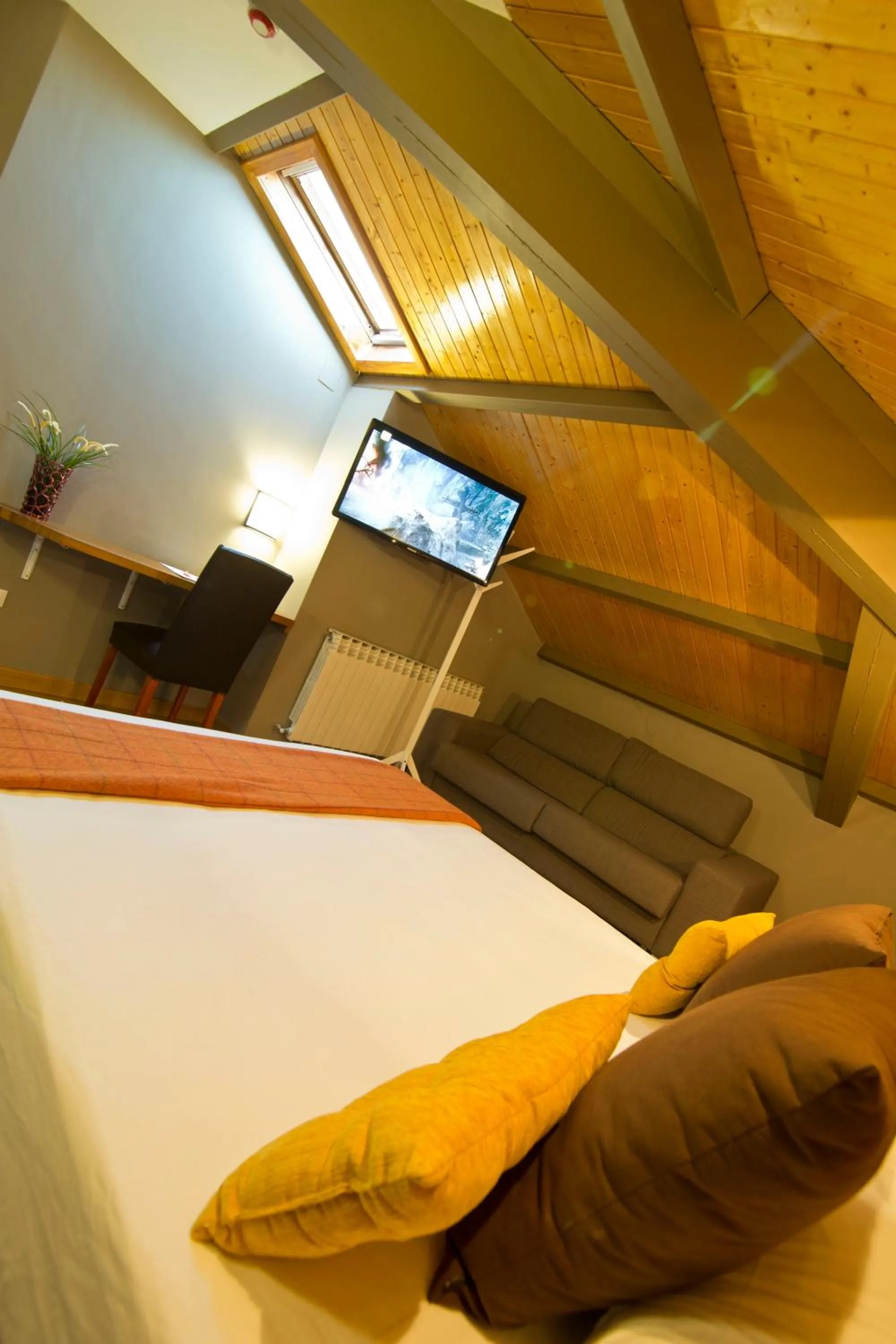 Photo of the whole room in Hotel Arrope