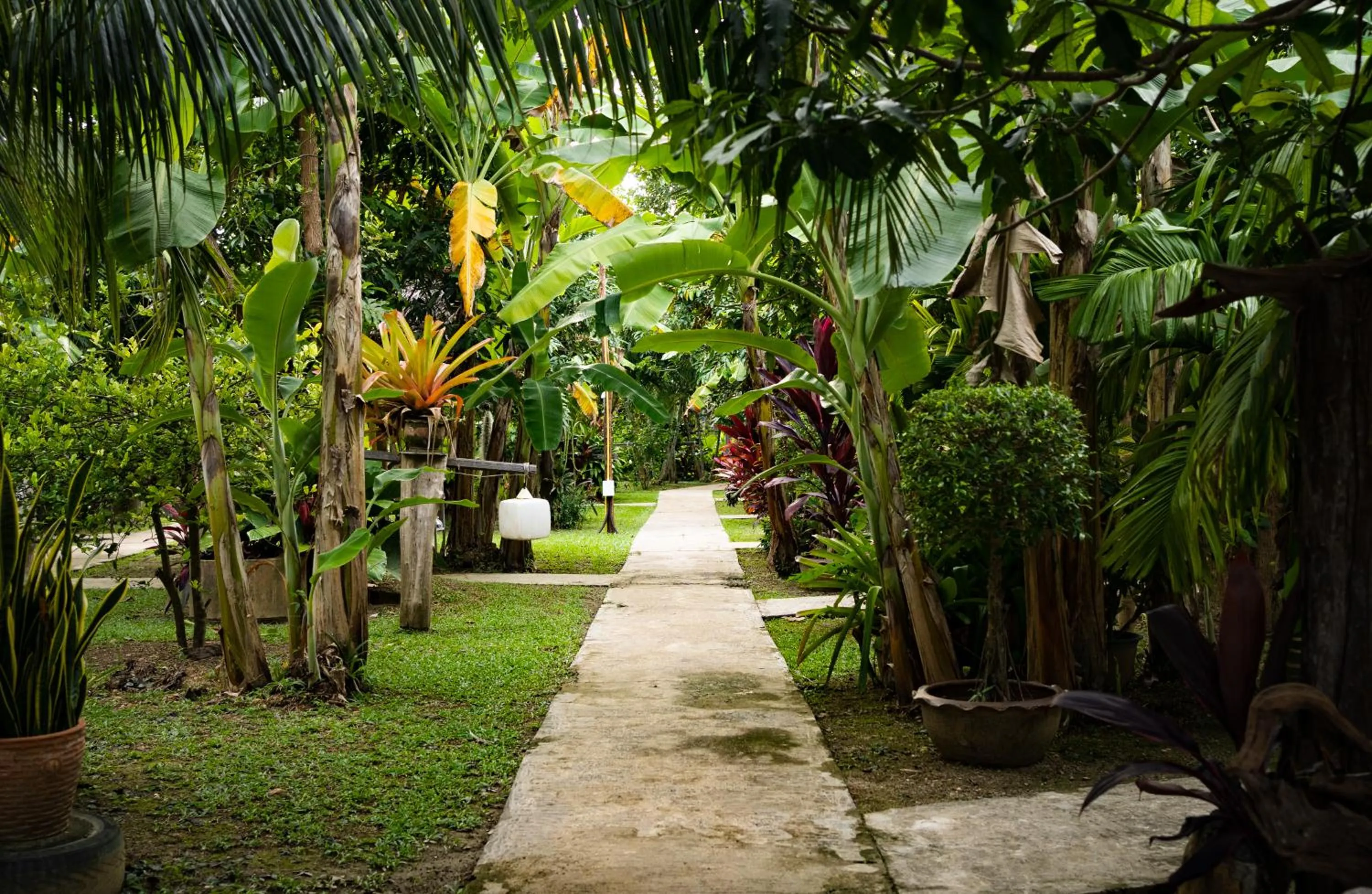 Garden in Lanta Andaleaf Bungalow - SHA Extra Plus