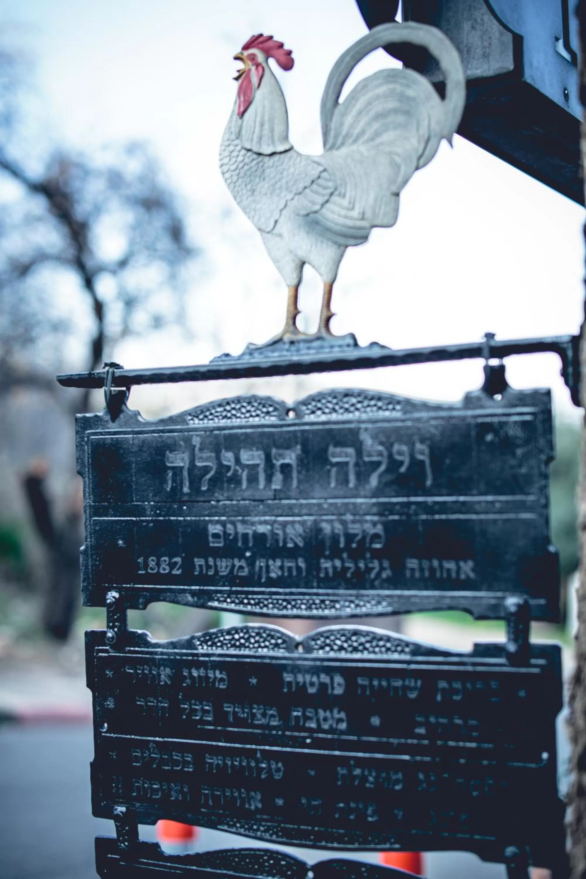 Property logo or sign in וילה תהילה המחודש - The new Villa Tehila