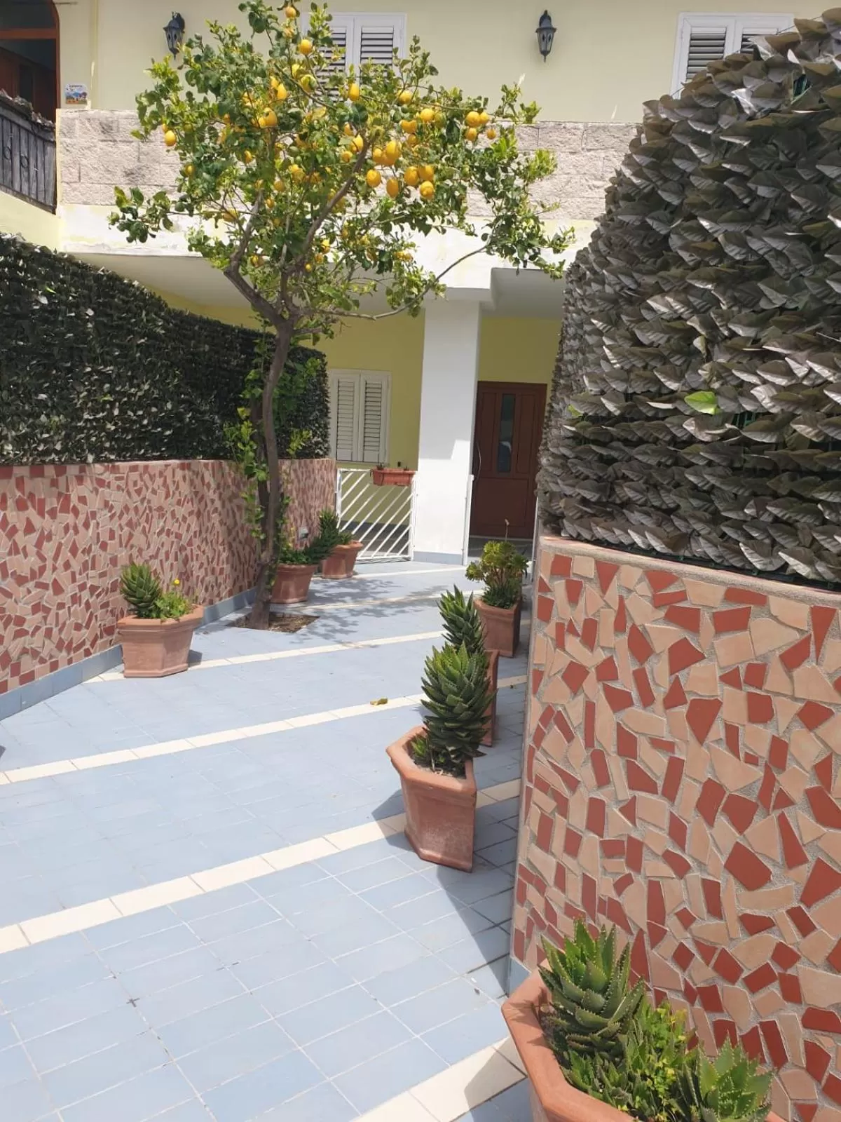 Garden view in Hotel Mareluna Ischia