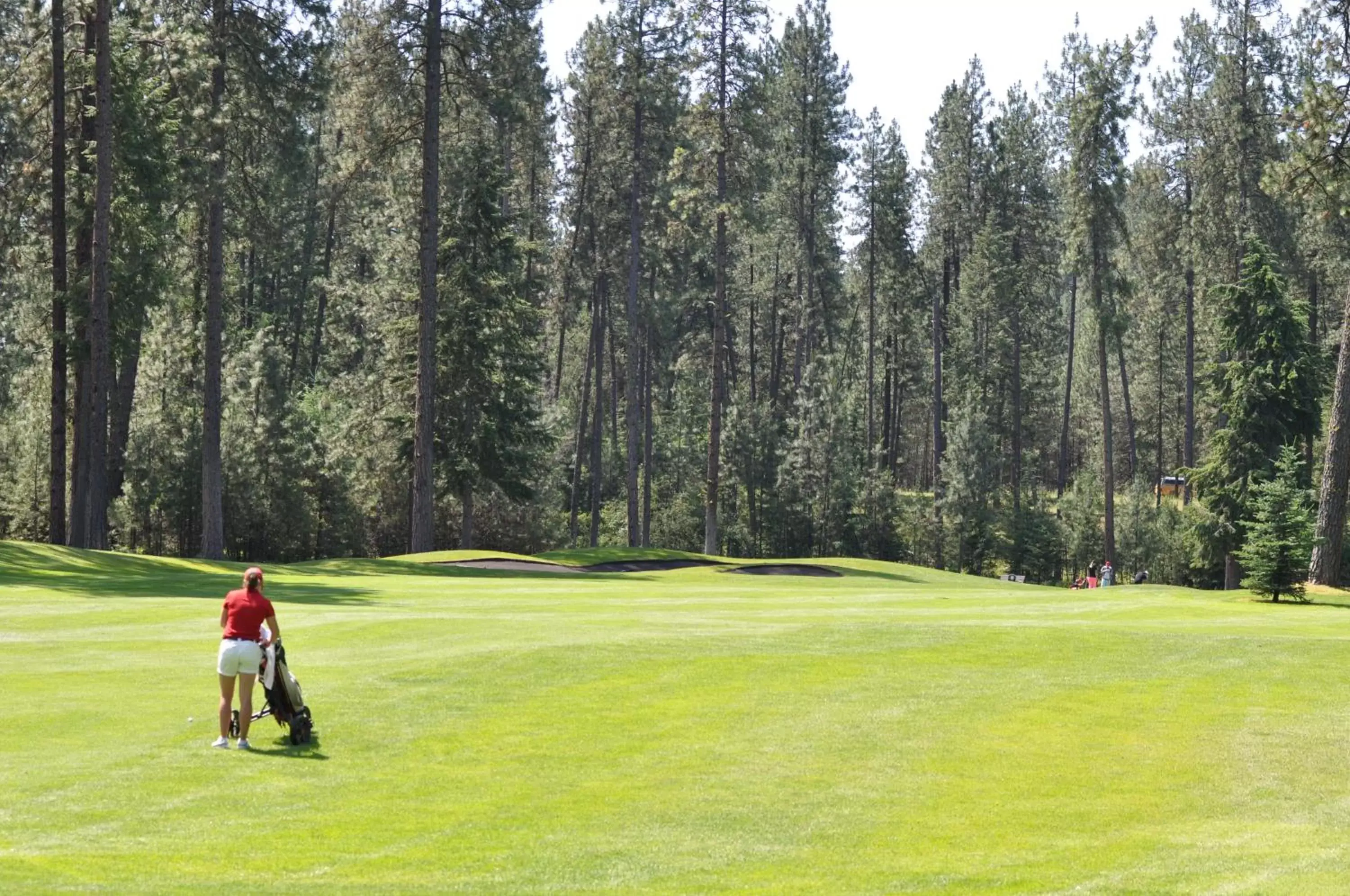 Golfcourse, Golf in Western Traveller Motel