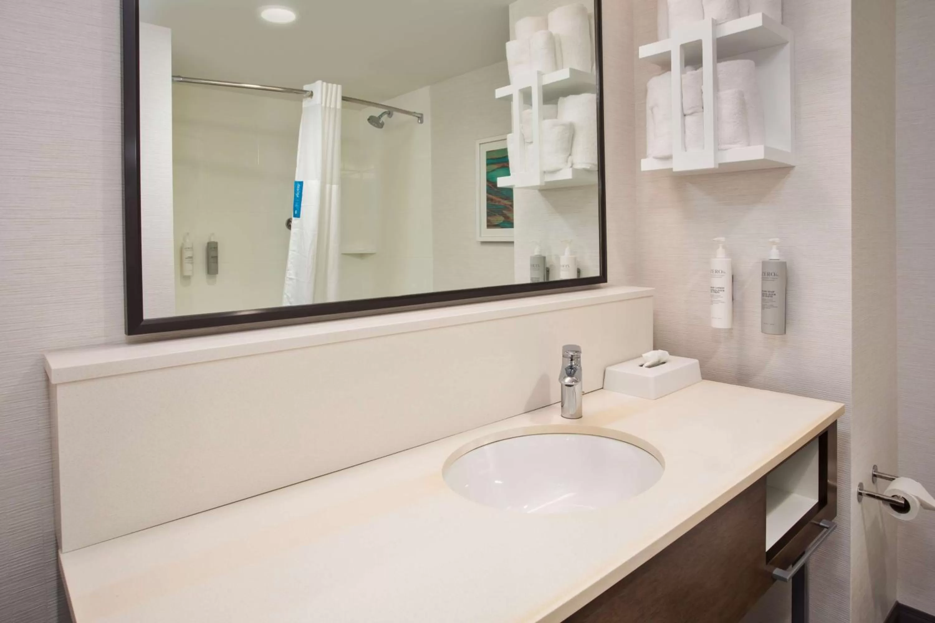 Bathroom in Hampton Inn Union City, Tn