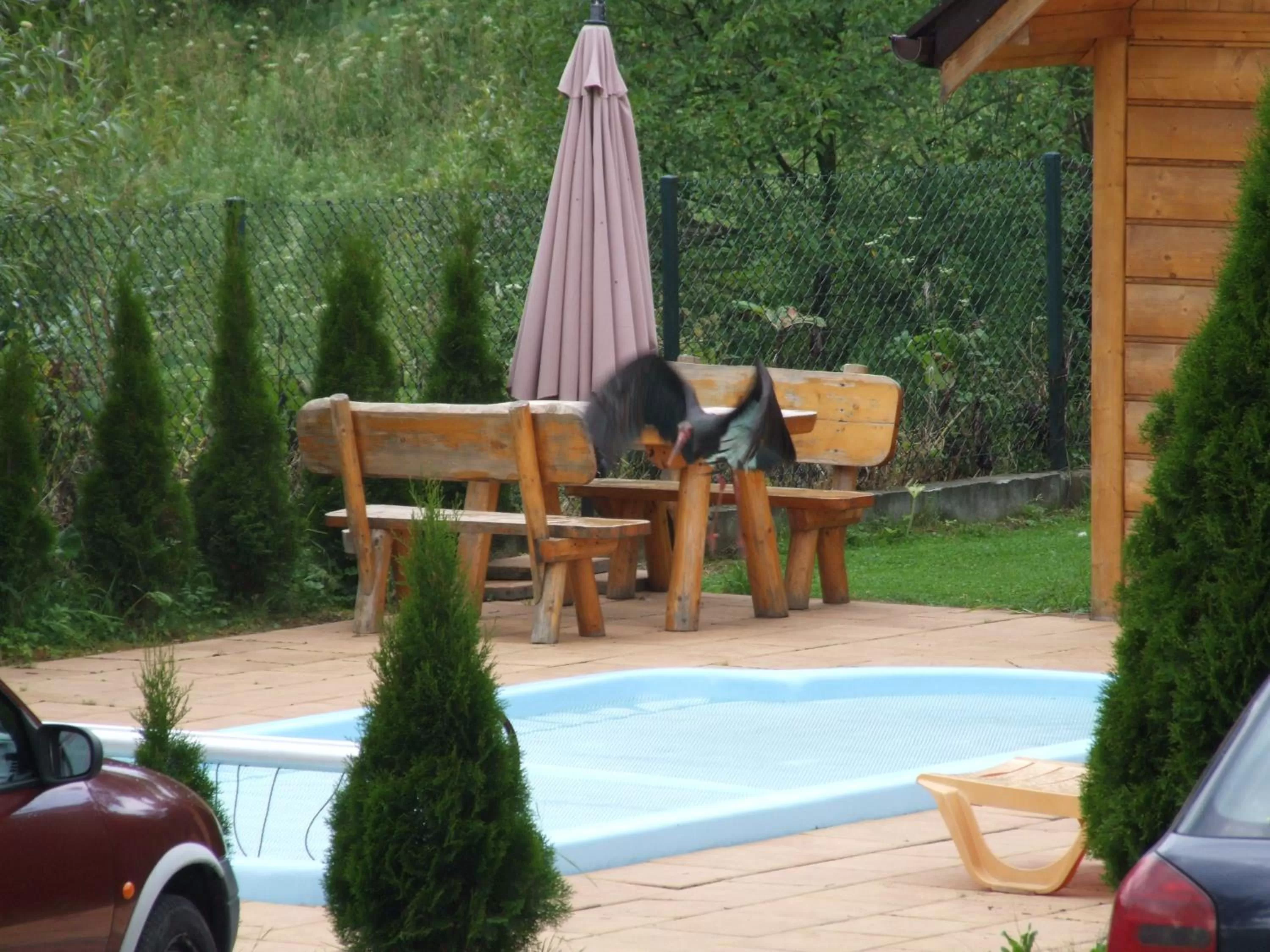 Swimming pool in Wynajem Pokoi ,,Góry Tatry Wypoczynek "Paweł Kuczyński