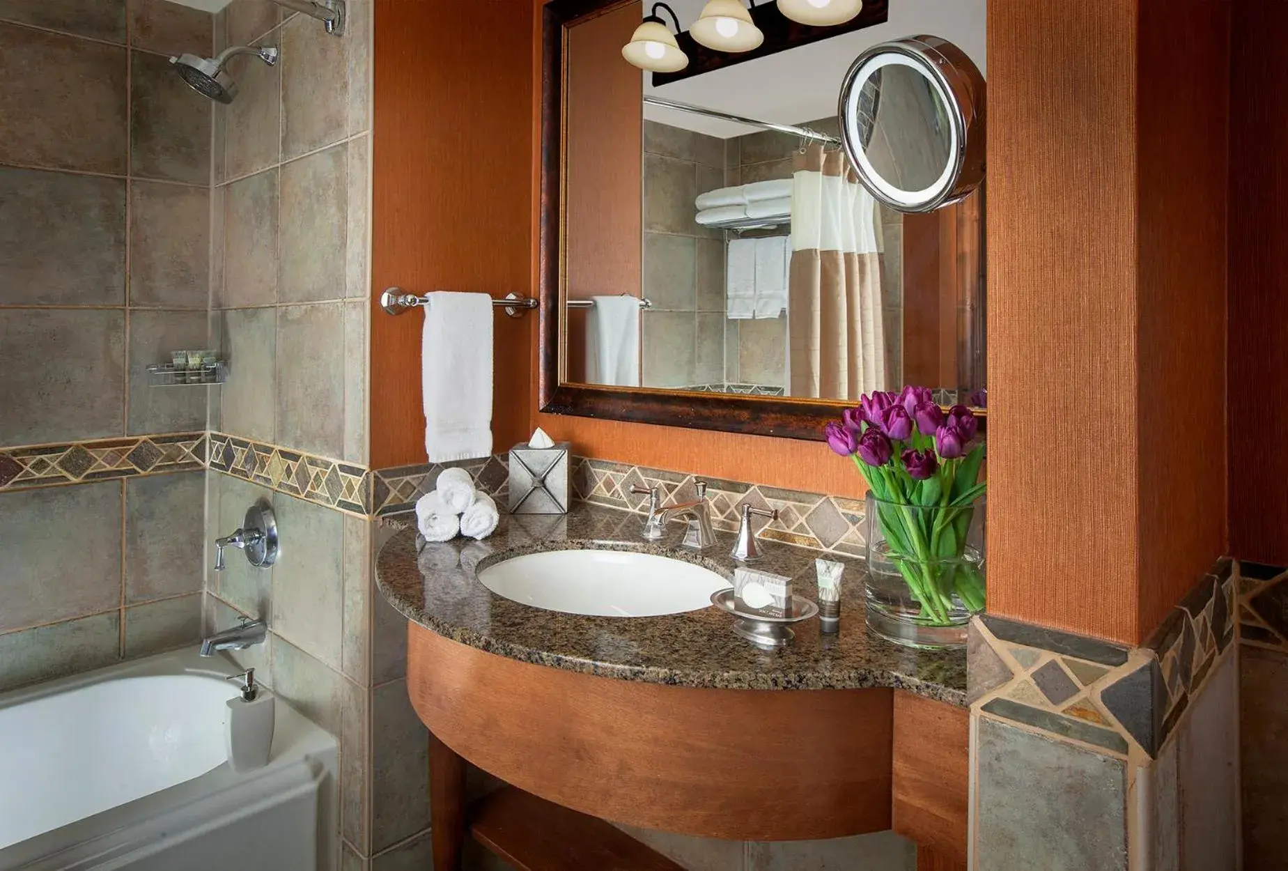 Bathroom in Snake River Lodge And Spa