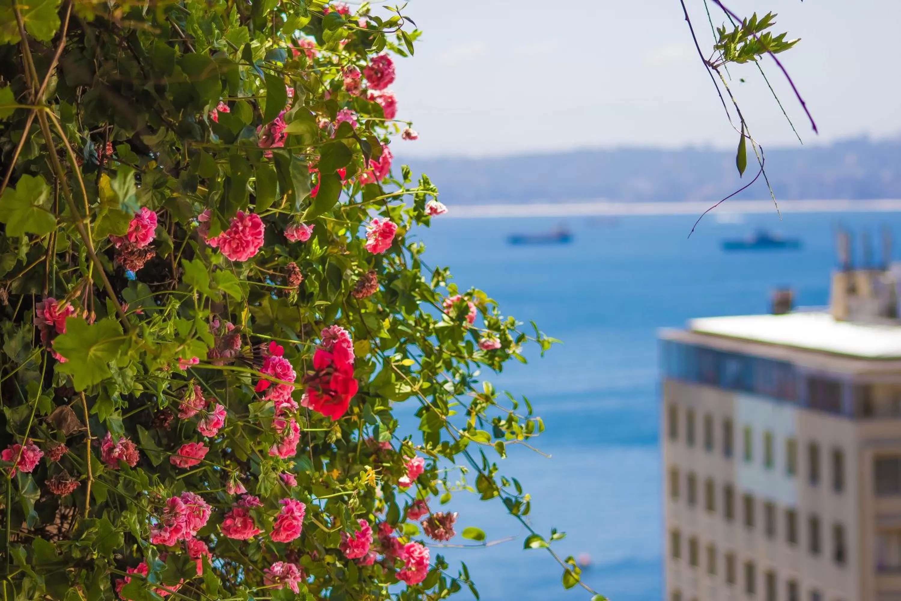 Property building in Hotel Boutique 17