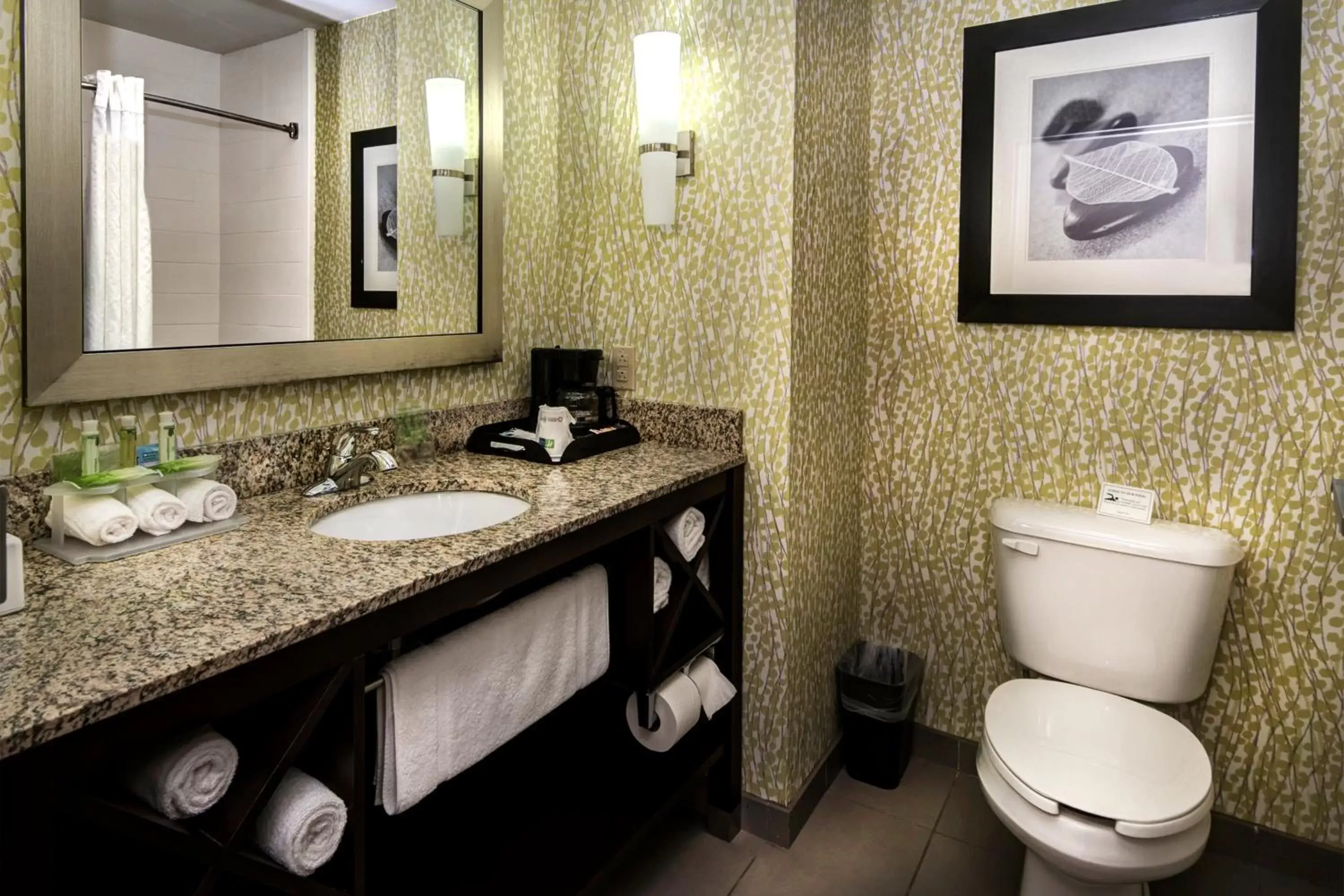 Photo of the whole room, Bathroom in Holiday Inn Express Conway, an IHG Hotel