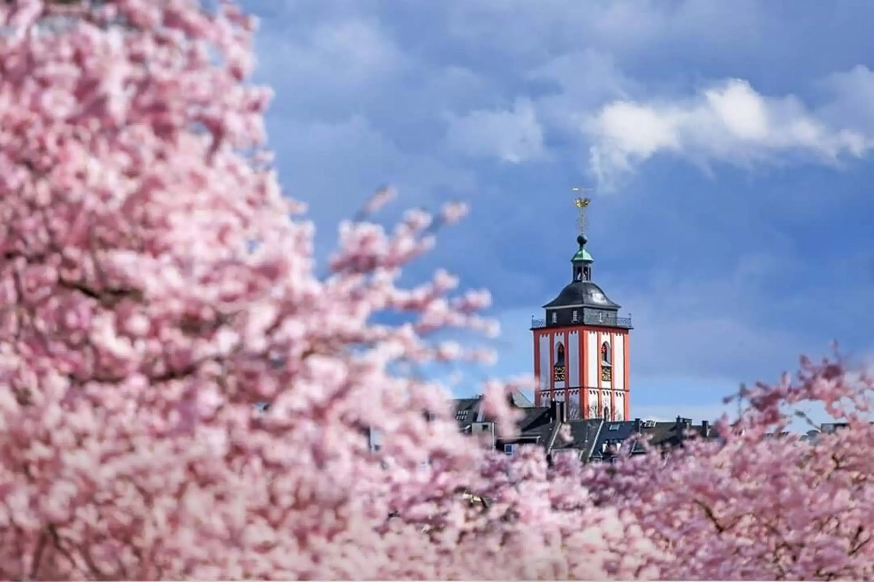 View (from property/room) in Amedia Hotel Siegen City, Trademark Collection by Wyndham View (from property/room) in Amedia Hotel Siegen City, Trademark Collection by Wyndham