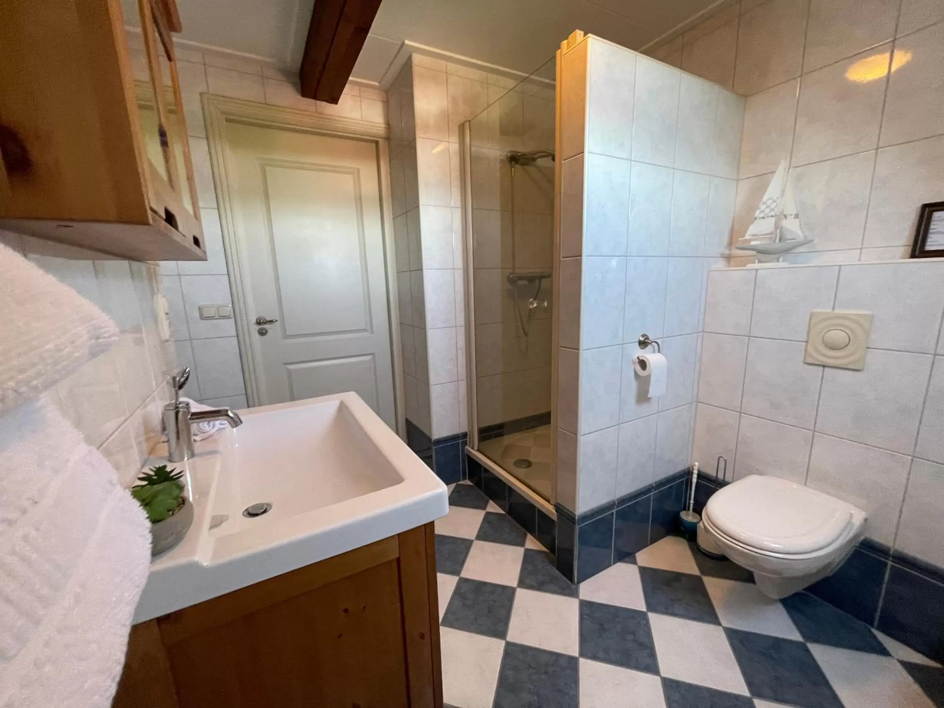 Shower, Bathroom in Villa Steenwyck Giethoorn
