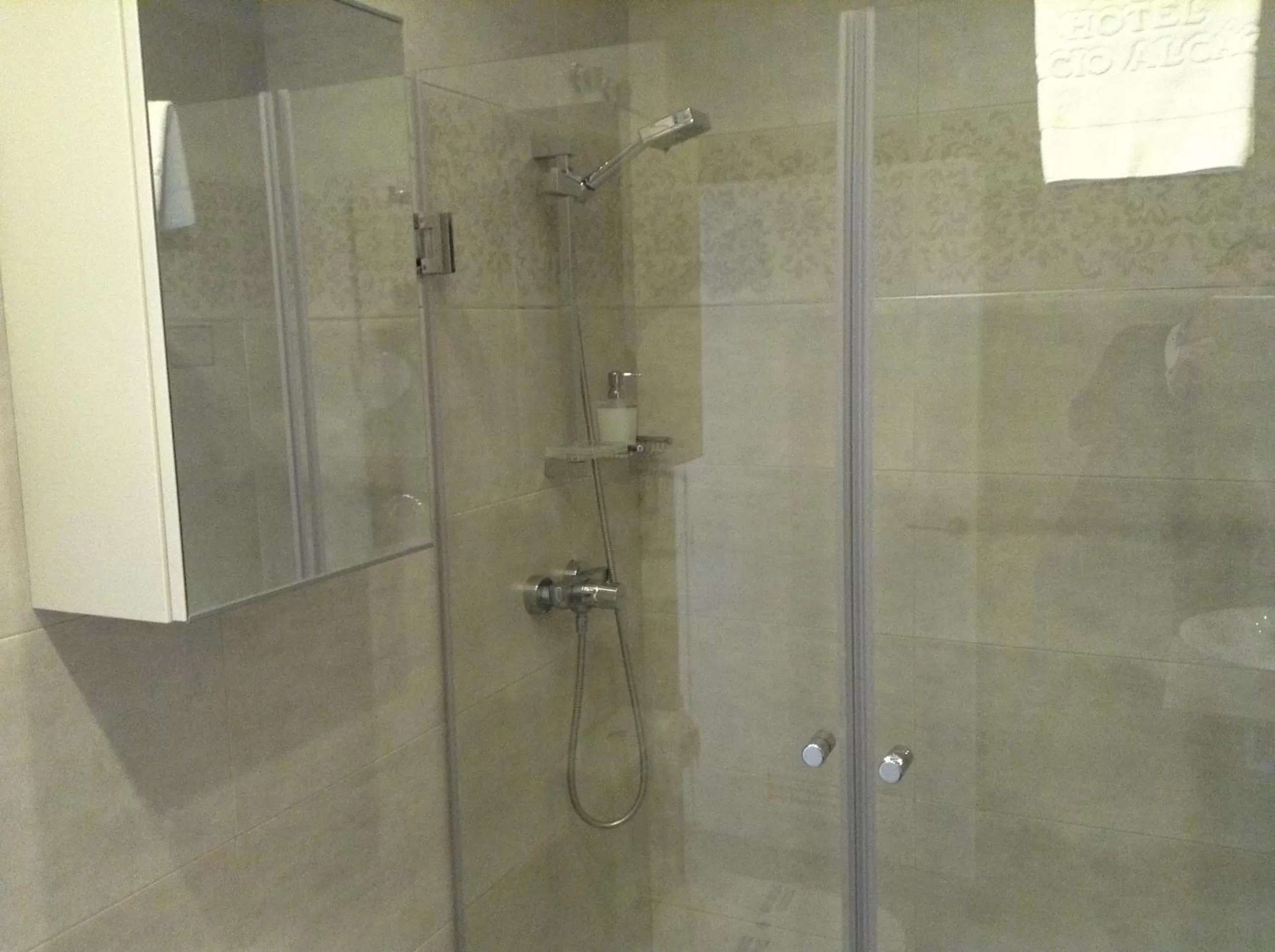 Economy Double Room in Hotel Palacio Alcázar