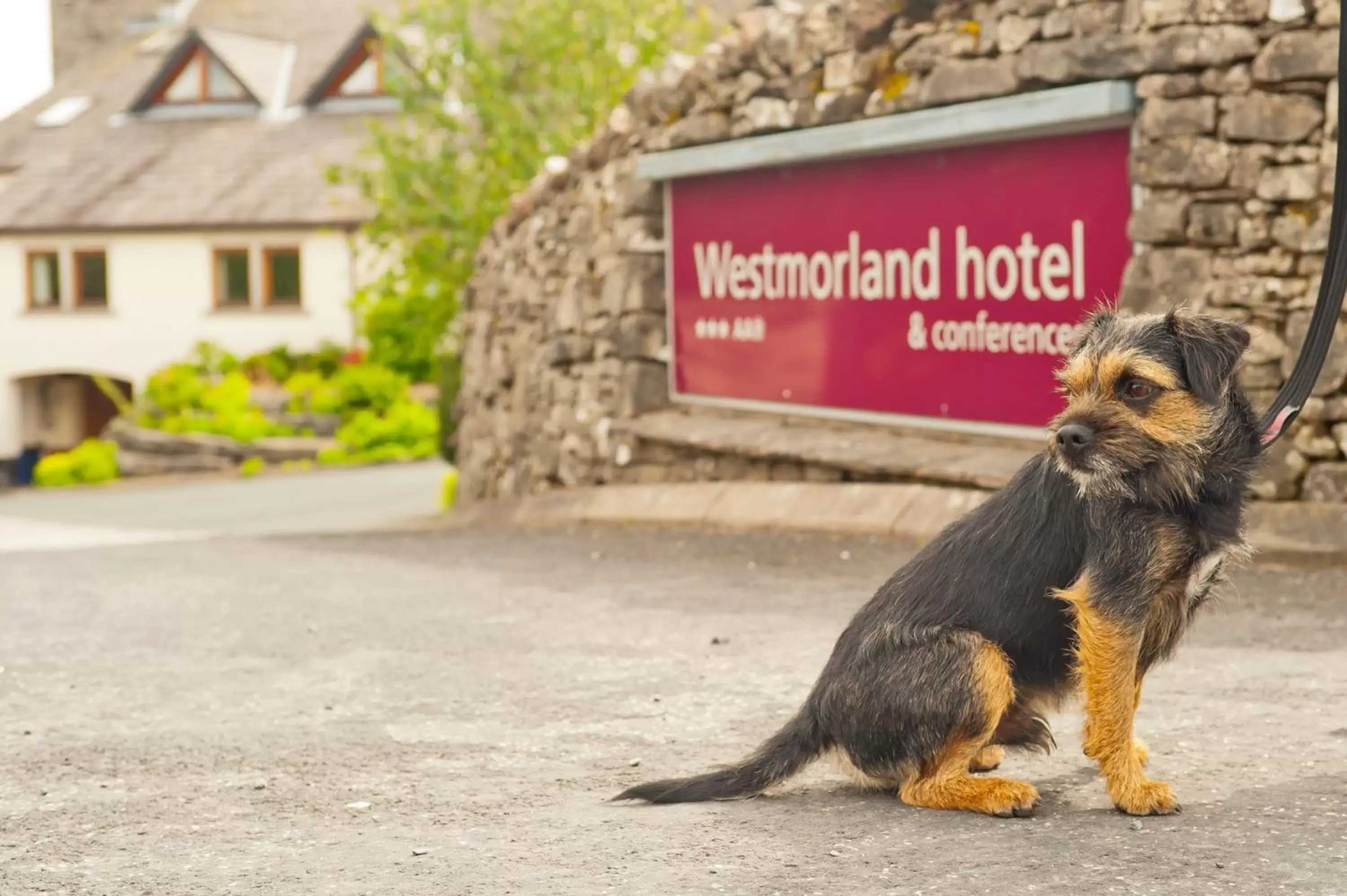 Pets in Westmorland Hotel Tebay