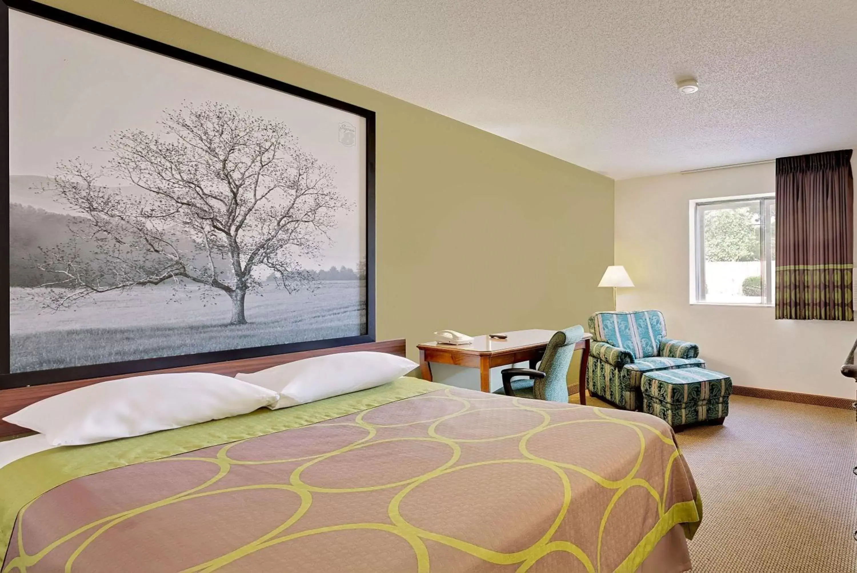 Photo of the whole room, Bed in Super 8 by Wyndham Johnson City