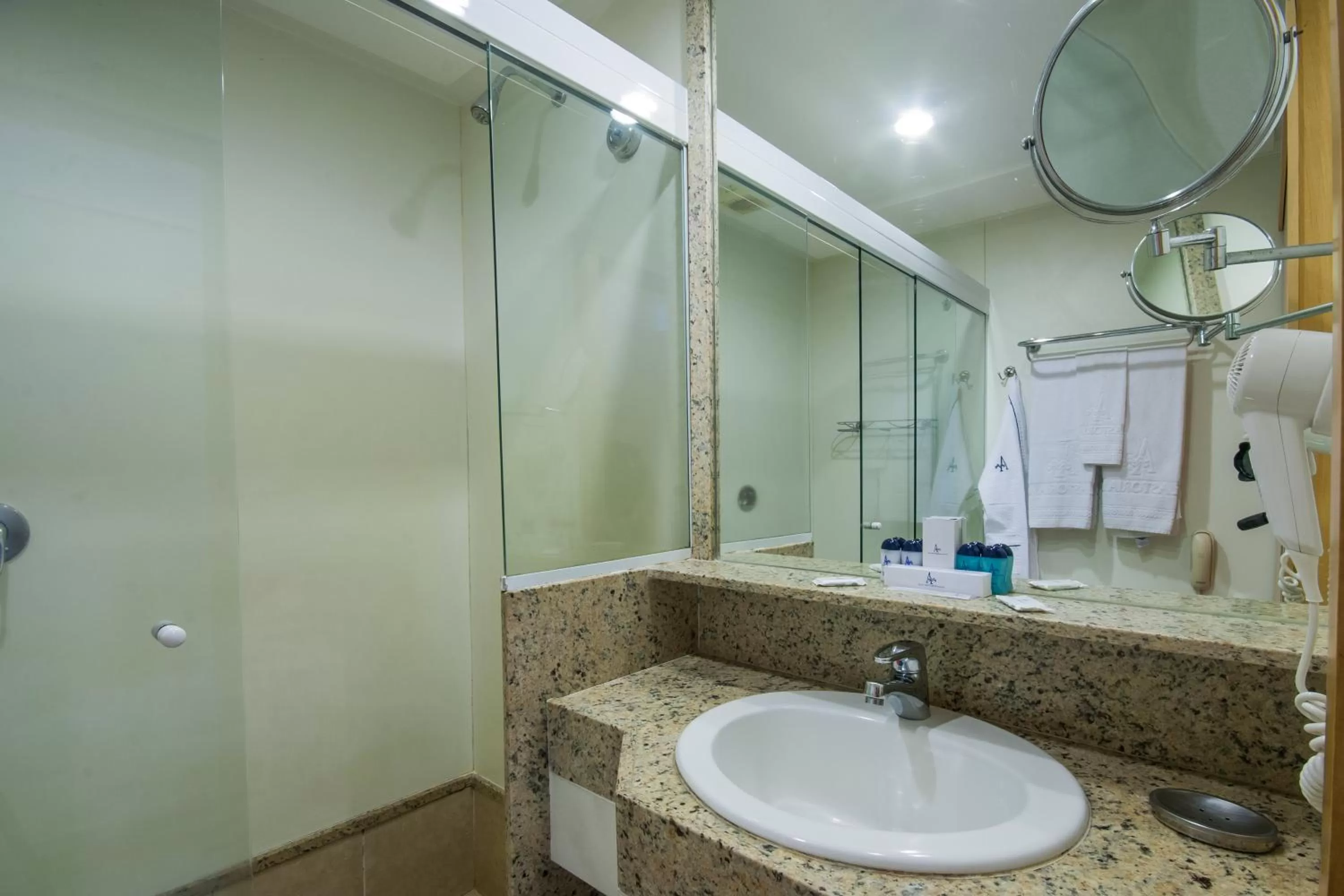 Toilet in Hotel Astoria Palace