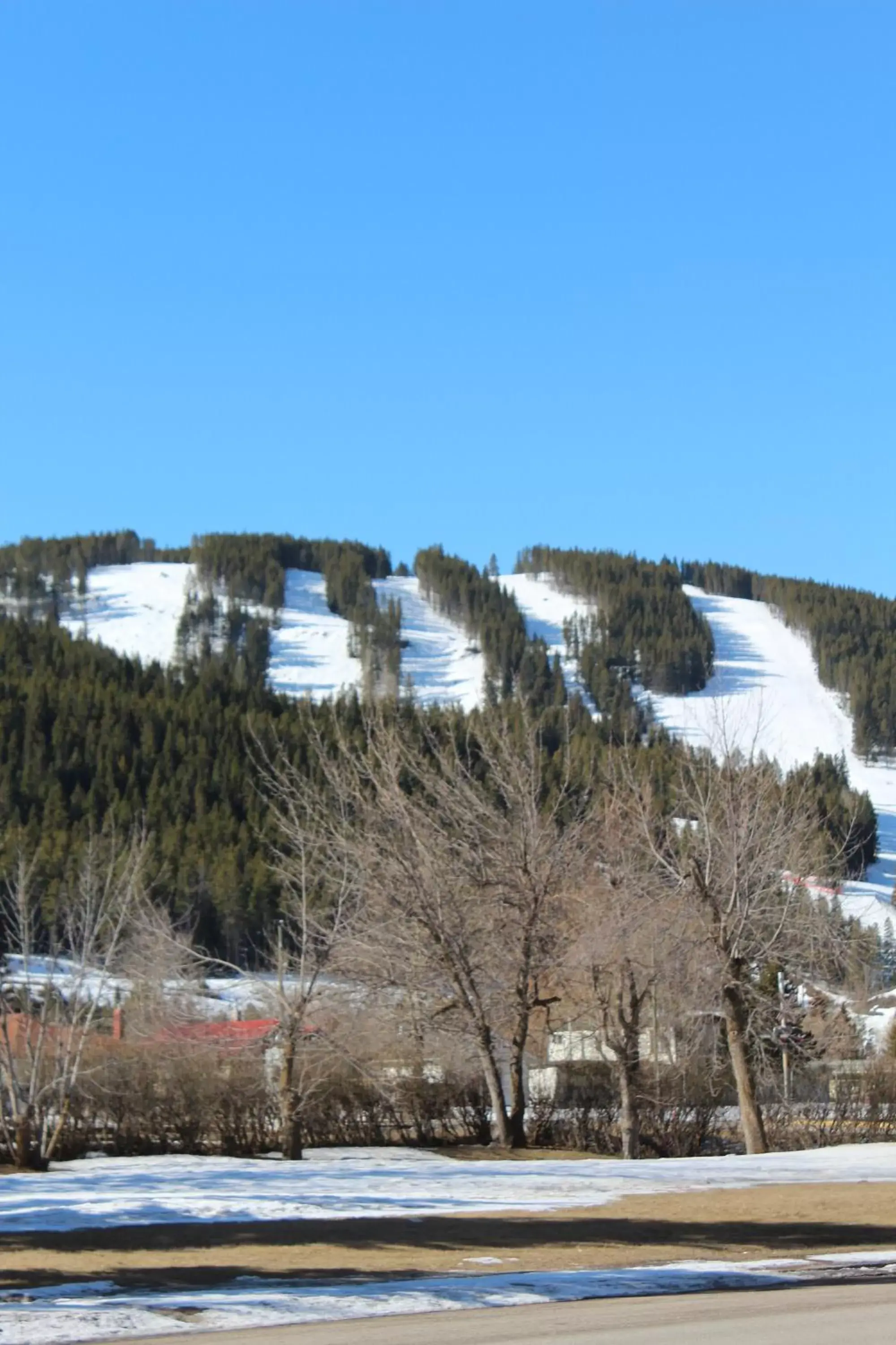 Nearby landmark, Winter in The Cosmopolitan Hotel