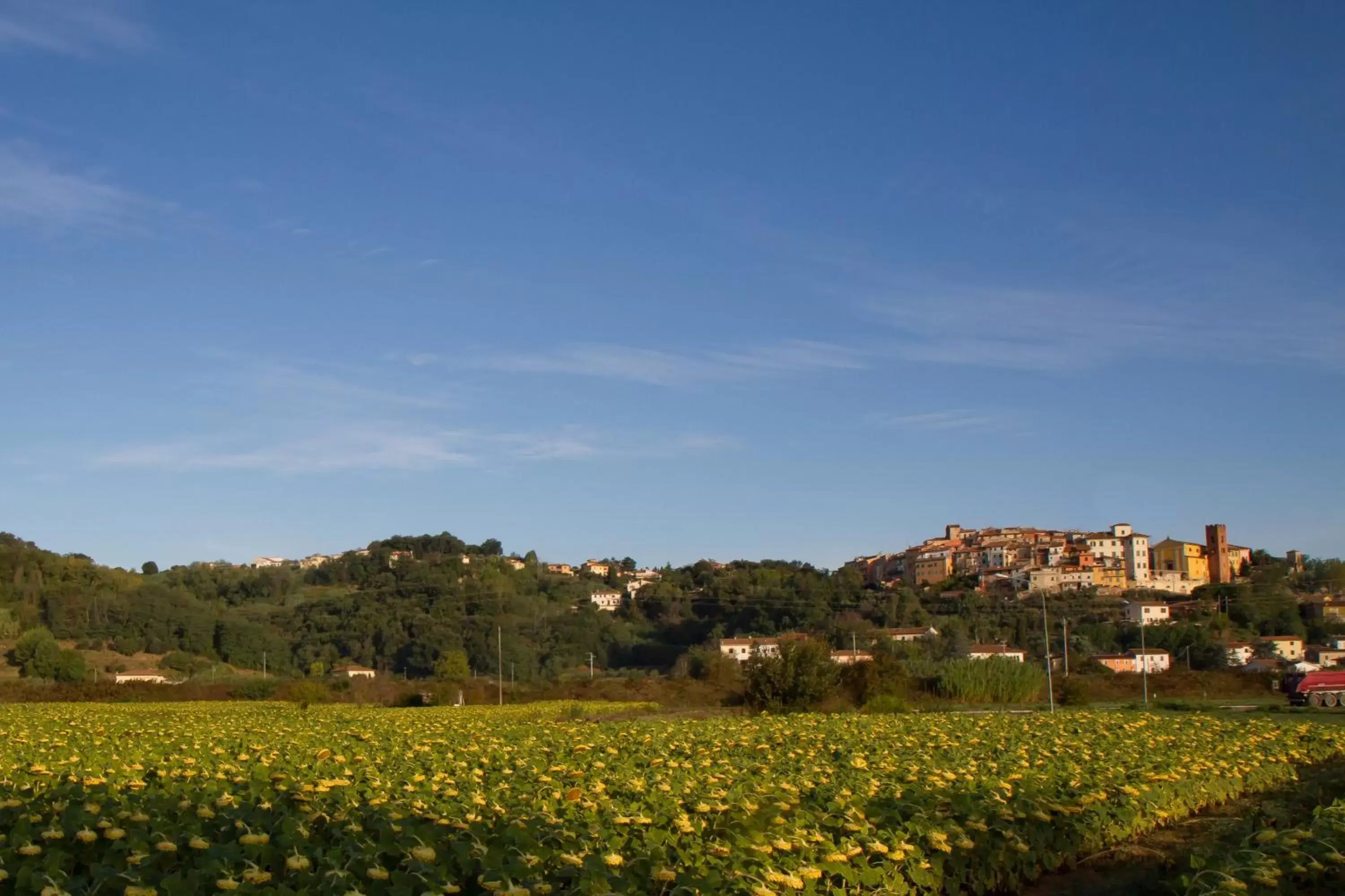 Neighbourhood in B&B Il Ramaiolo