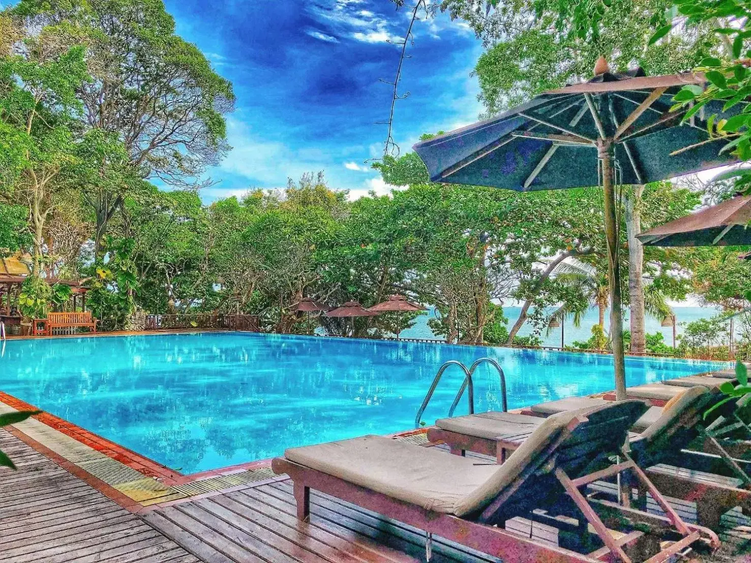 Pool view, Swimming Pool in Birds and Bees Resort