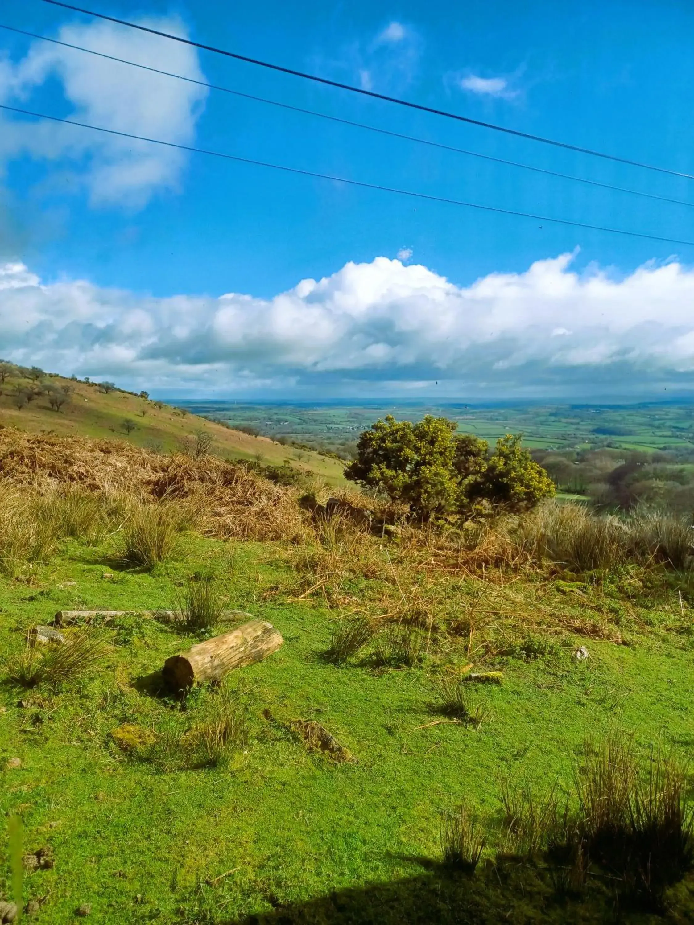 Natural landscape in Wheal Tor