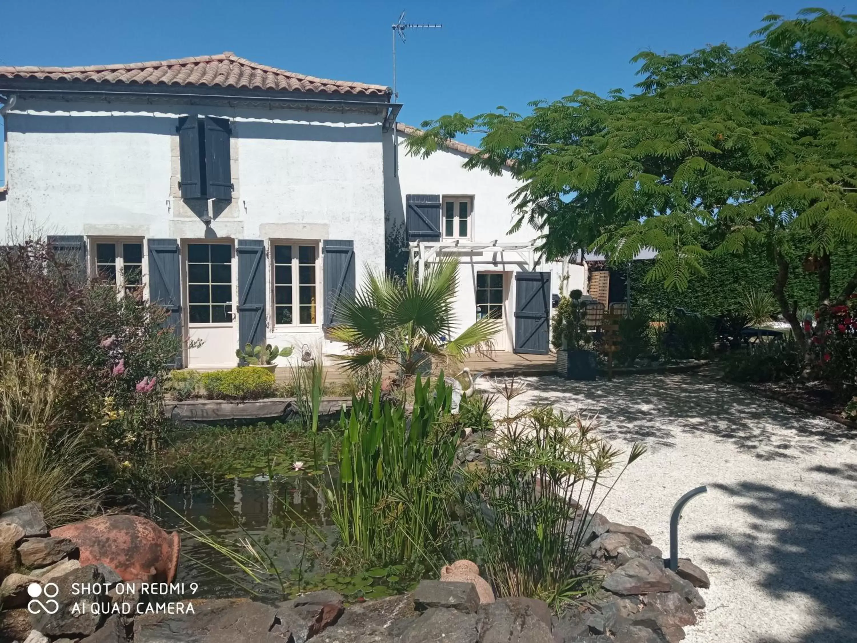 Swimming pool, Property Building in Mas des Vignes Piscine chauffée