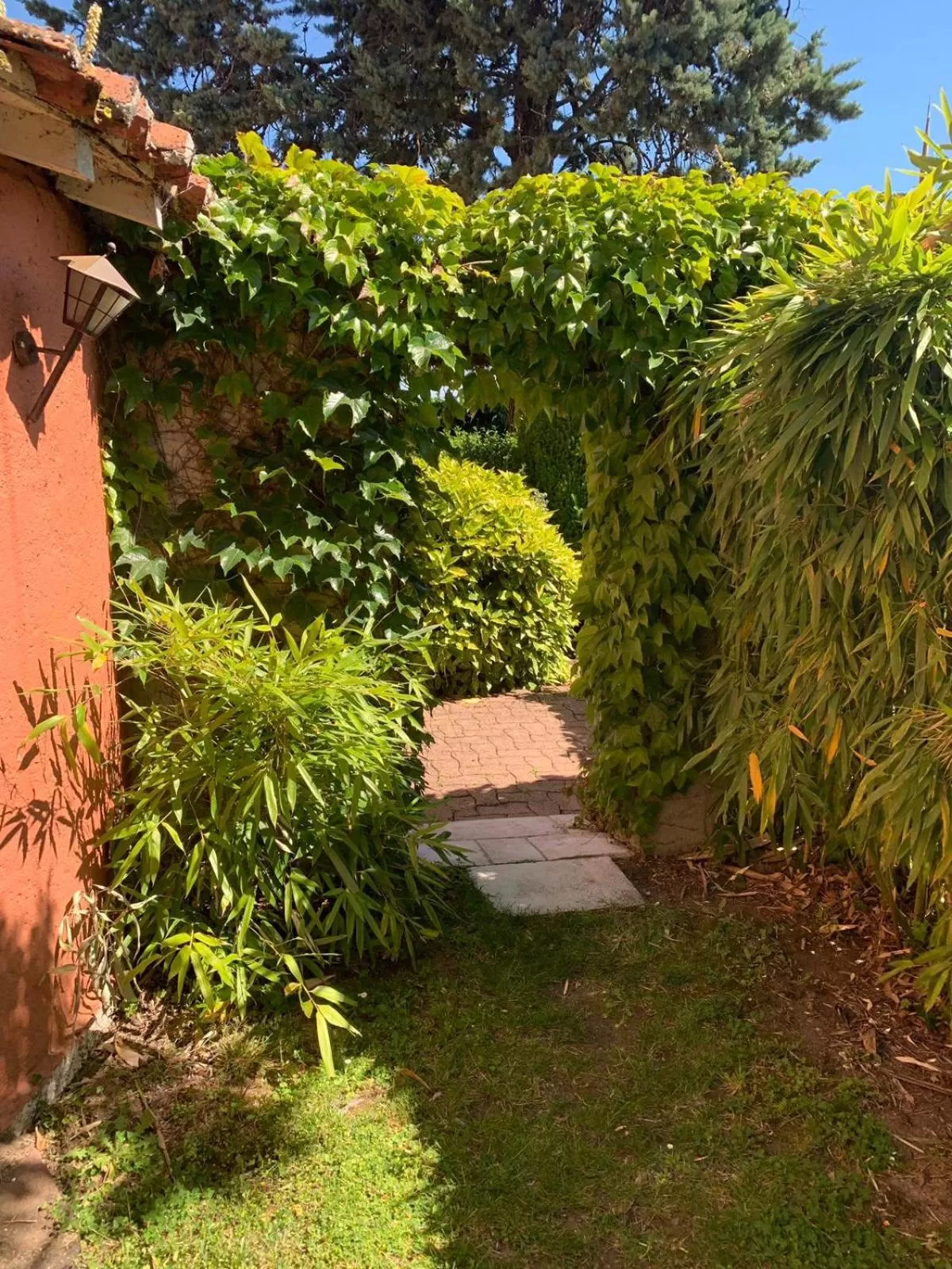 Patio, Garden in La Charaudière