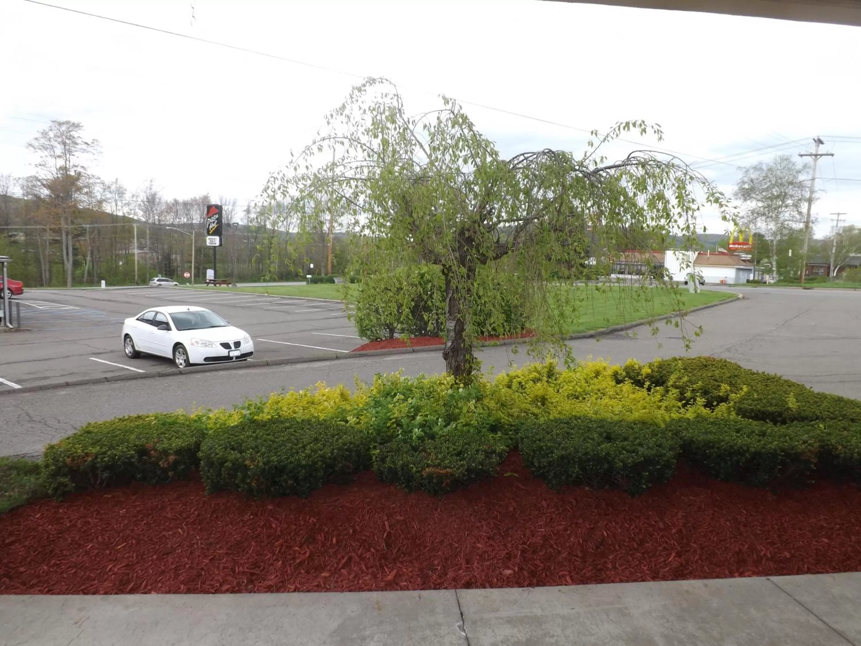 View (from property/room) in Super 8 by Wyndham Sidney NY