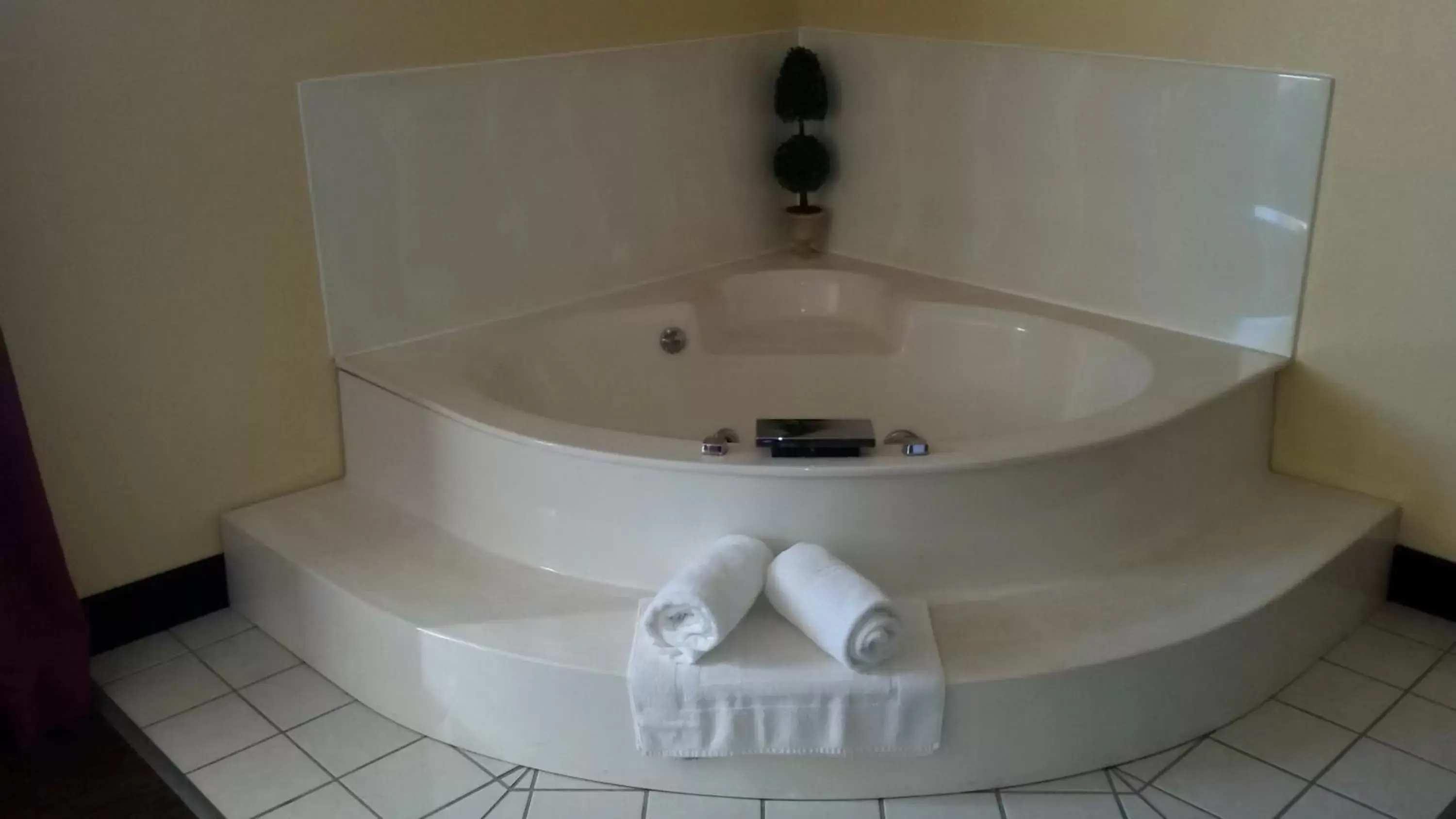 Hot Tub, Bathroom in GrandStay Hotel and Suite Waseca