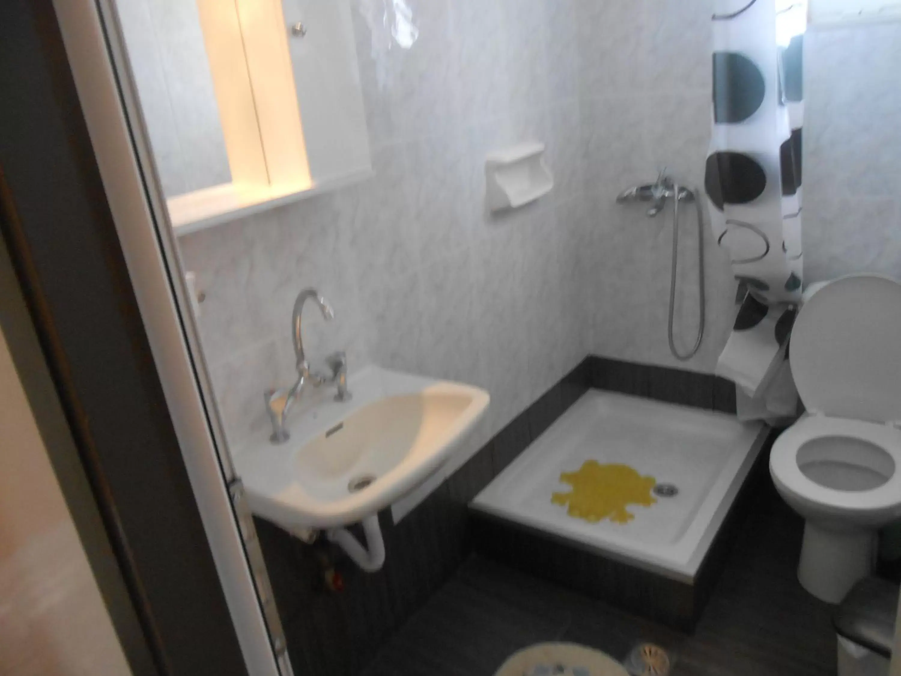 Shower, Bathroom in Hotel Germany