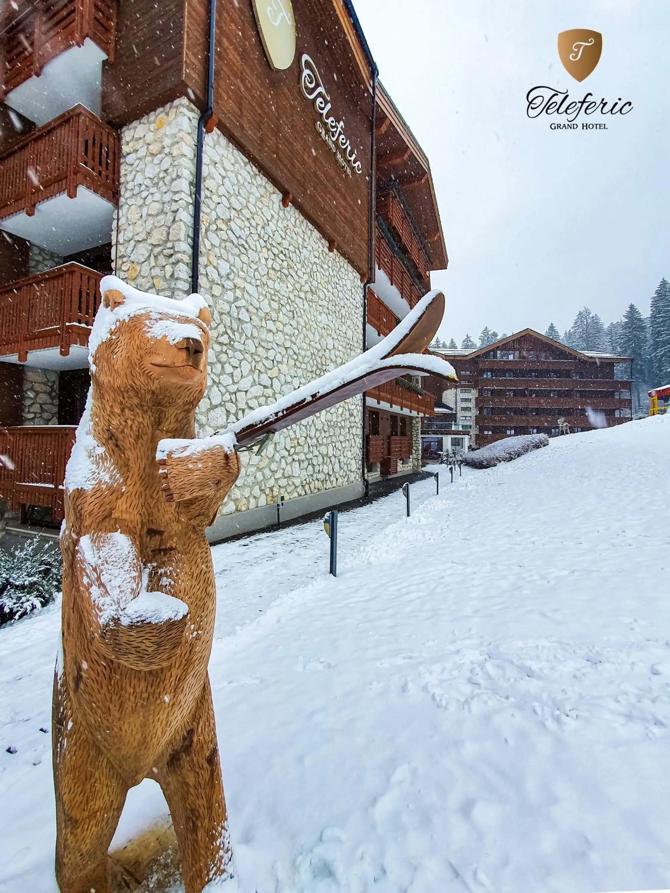 Activities, Winter in Teleferic Grand Hotel