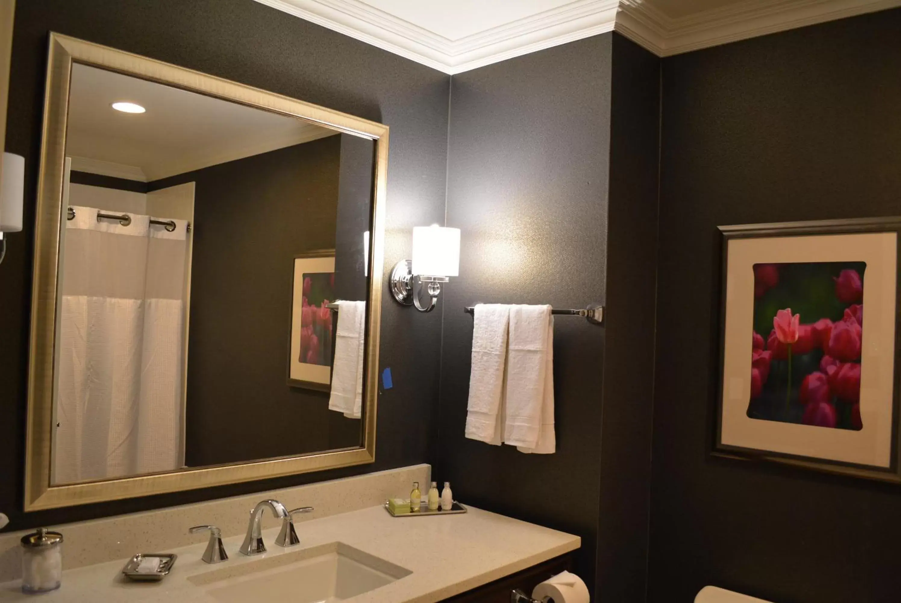 Bathroom in Majestic Inn and Spa