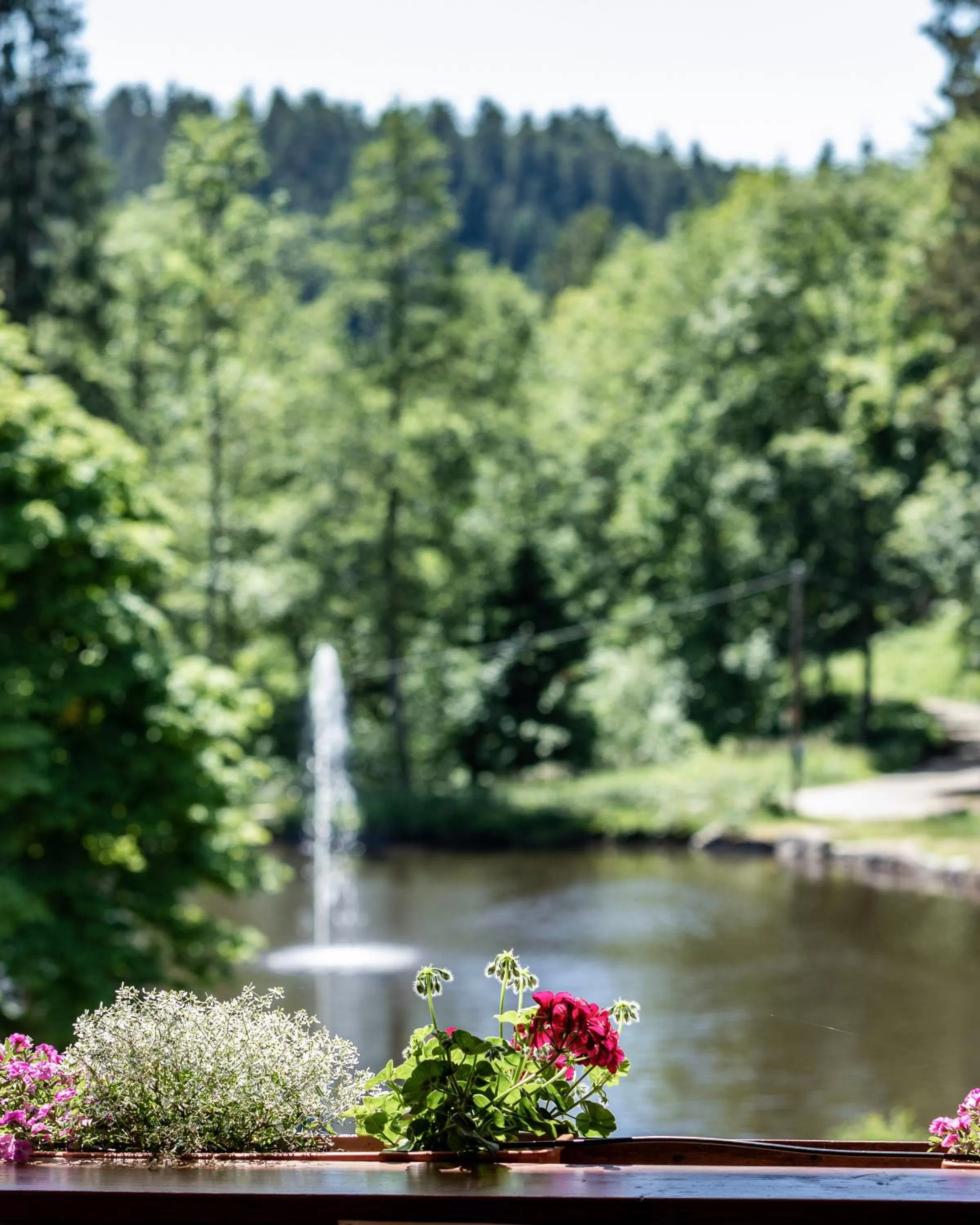 View (from property/room) in Landhaus Lauble