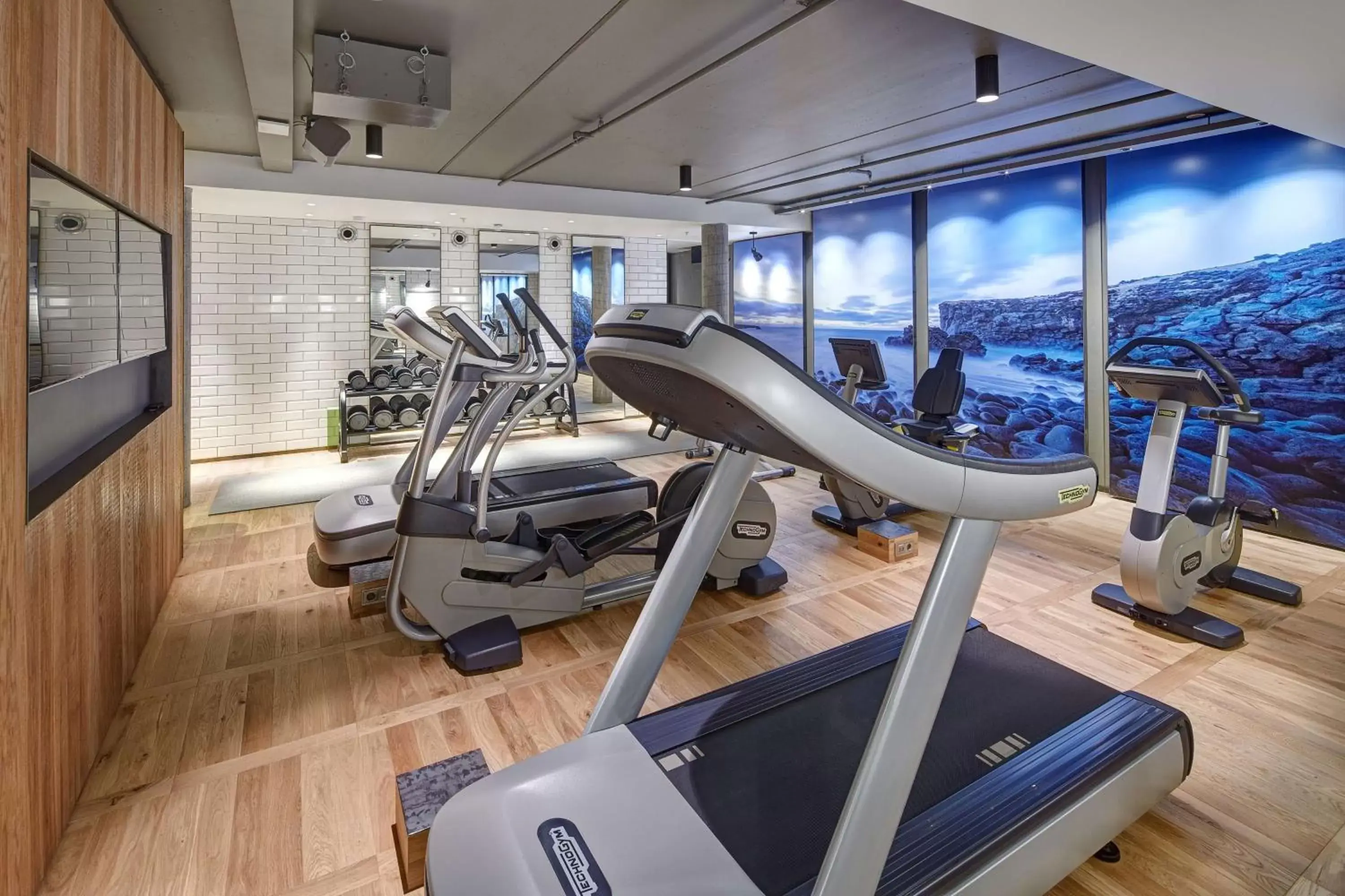 Fitness centre/facilities, Fitness Center/Facilities in Canopy by Hilton Reykjavik City Centre