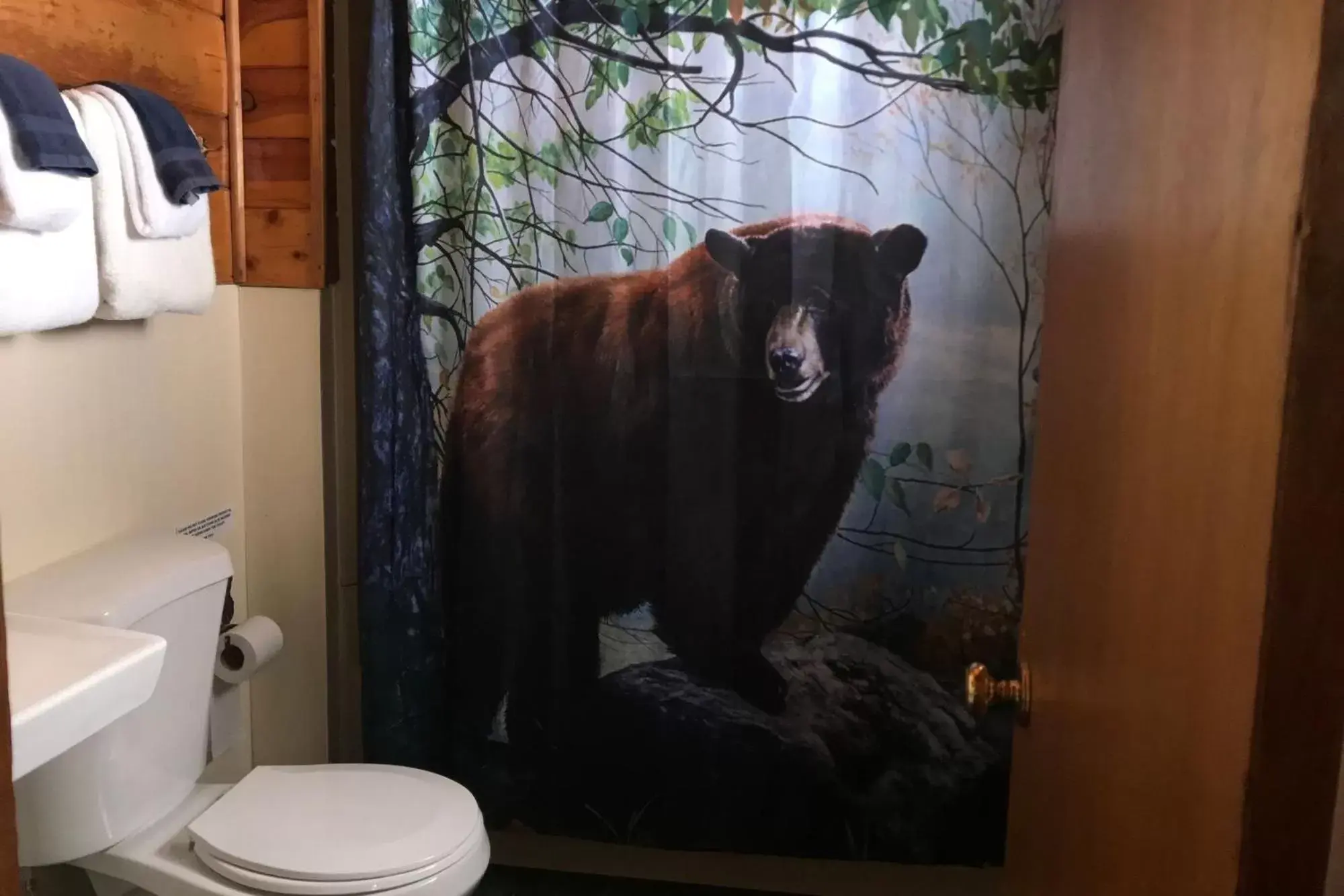 Bathroom, Pets in Elkhorn Lodge