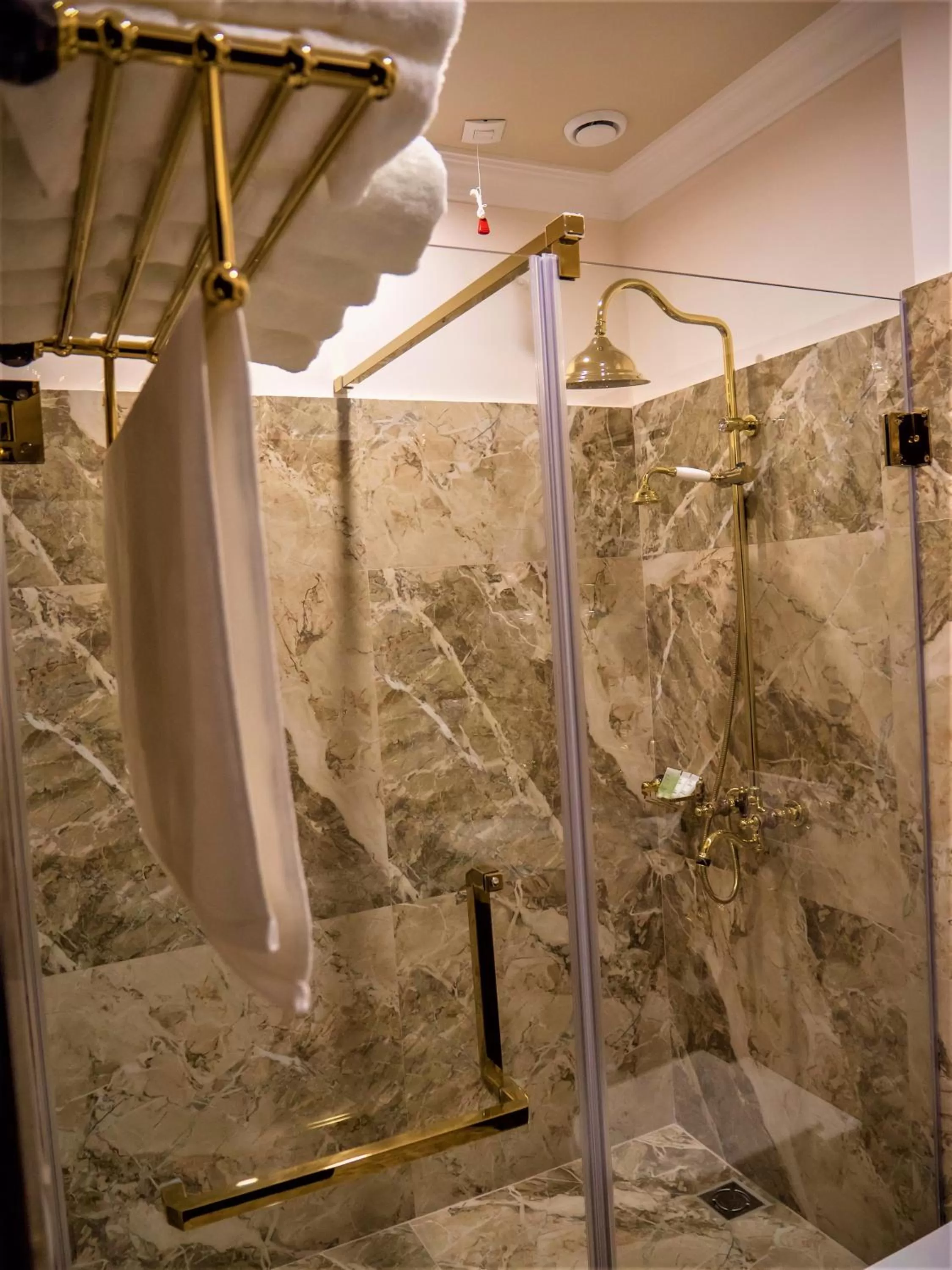 Shower in Hotel Boka