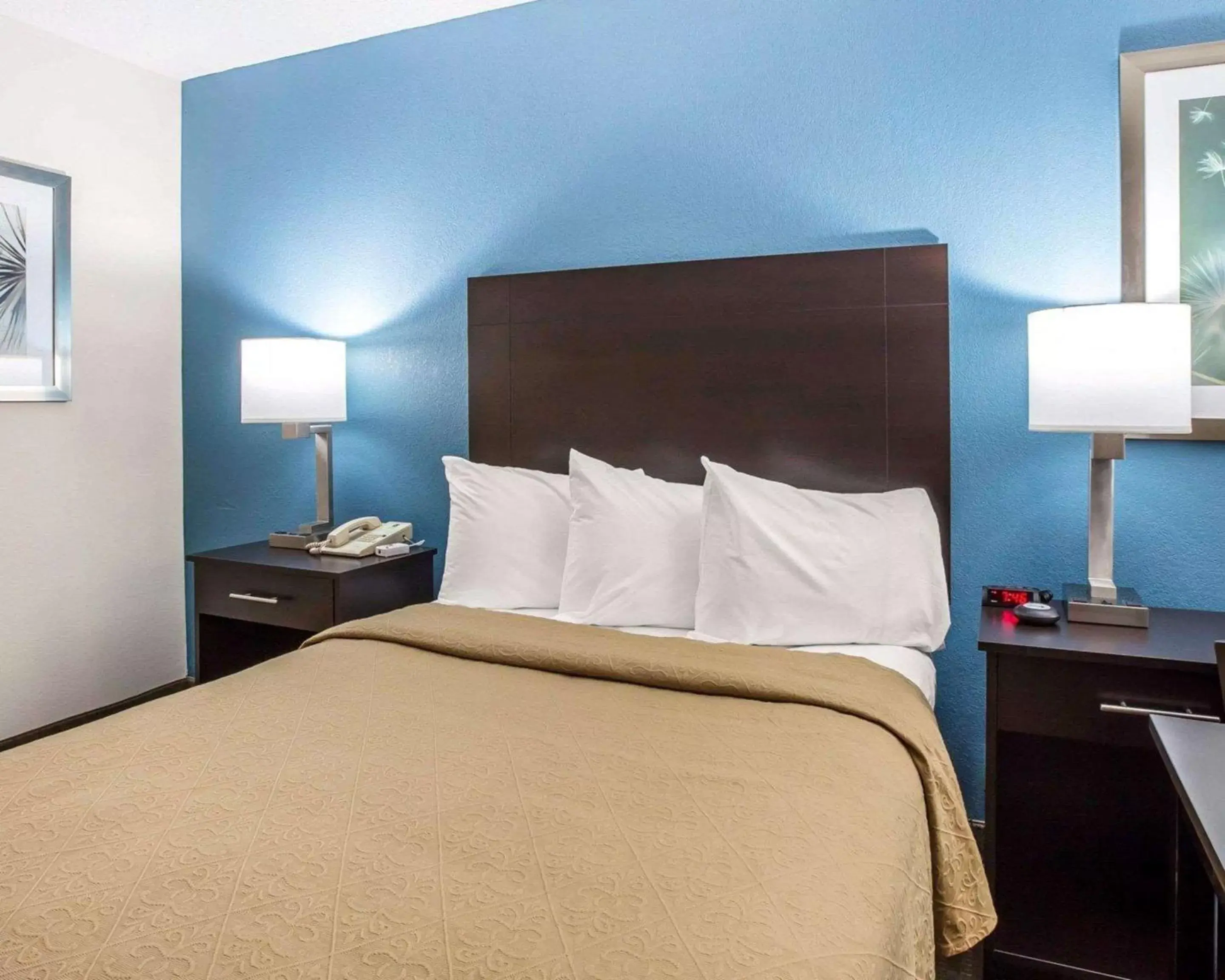 Photo of the whole room, Bed in Quality Inn Macon West Photo of the whole room, Bed in Quality Inn Macon West