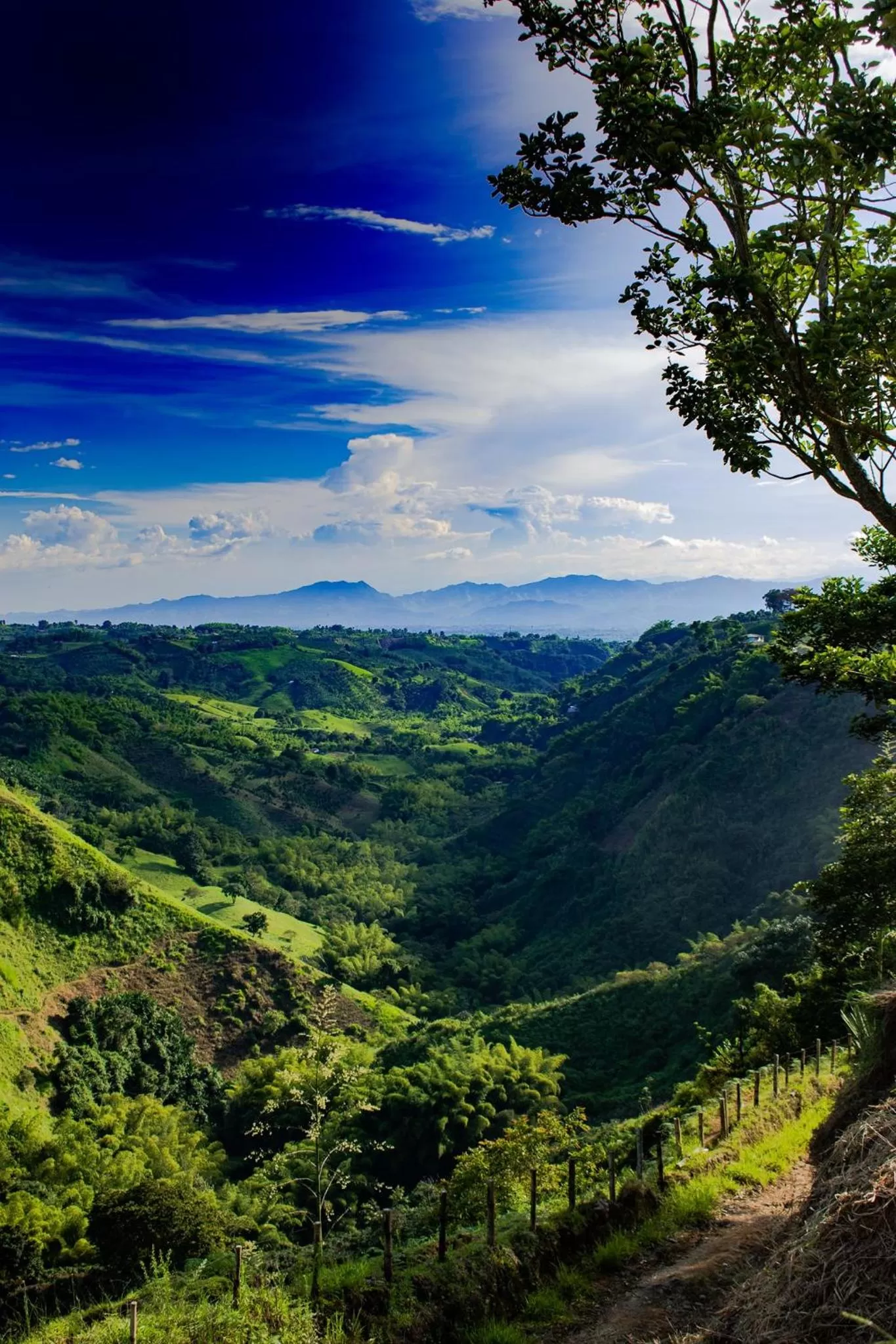 Natural landscape in Villa Cristina - Casa Boutique