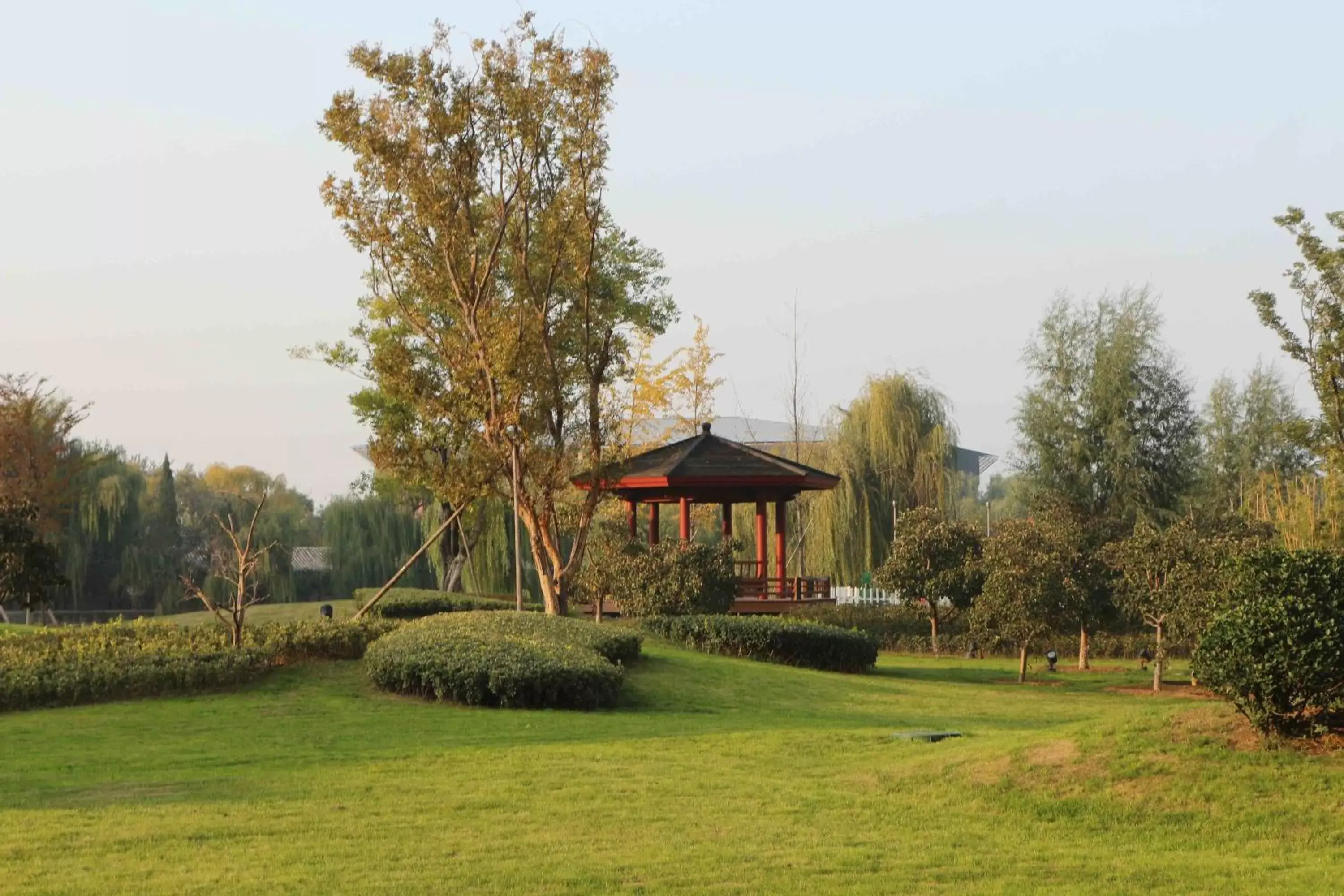 View (from property/room), Garden in Shangri-La Qufu