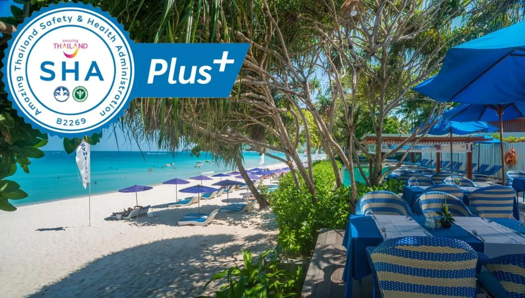 Restaurant/places to eat in Synergy Samui Restaurant/places to eat in Synergy Samui