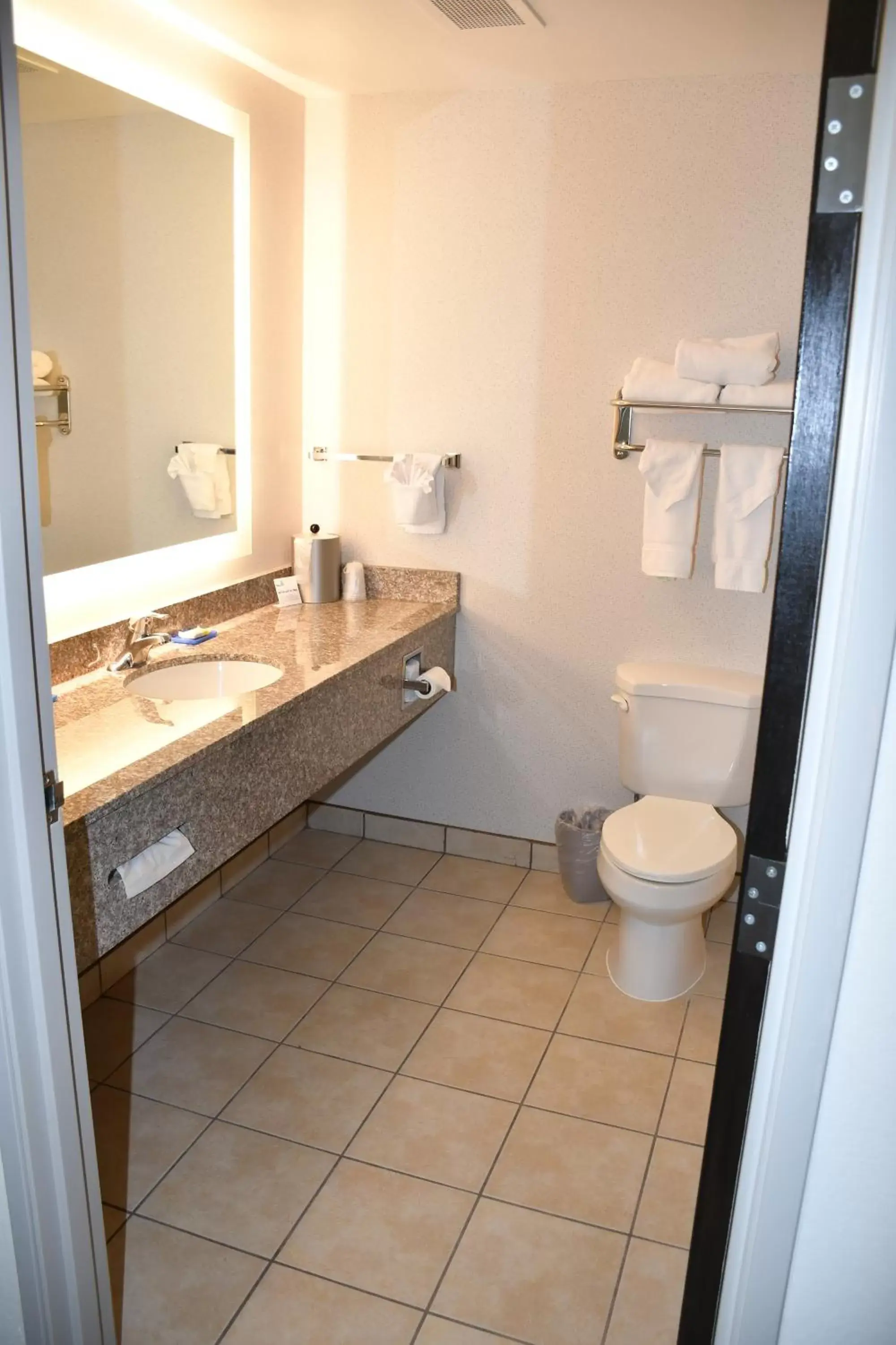 Bathroom in Holiday Inn Express Hotel & Suites Evanston, an IHG Hotel